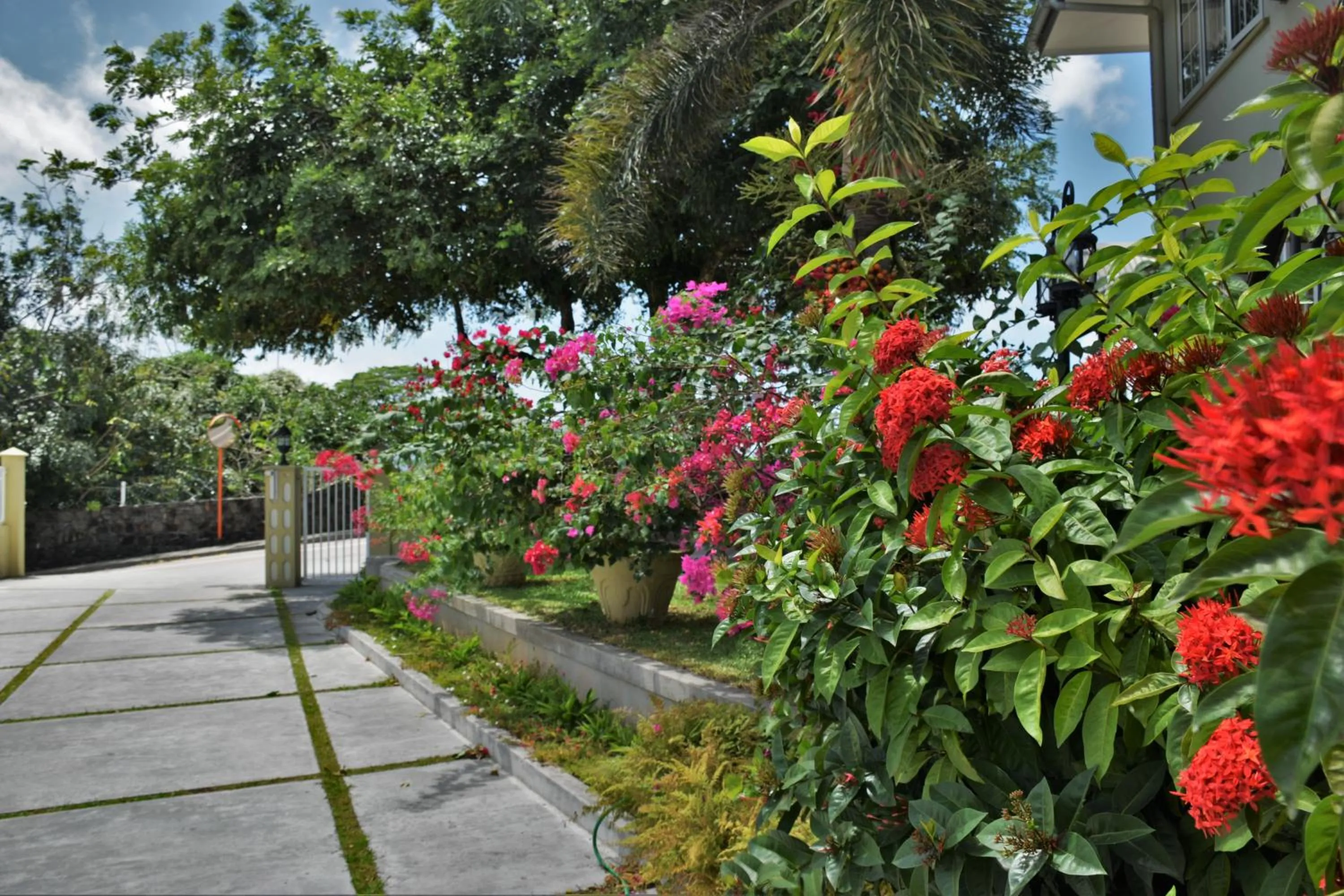 Garden in Bel Air Hotel