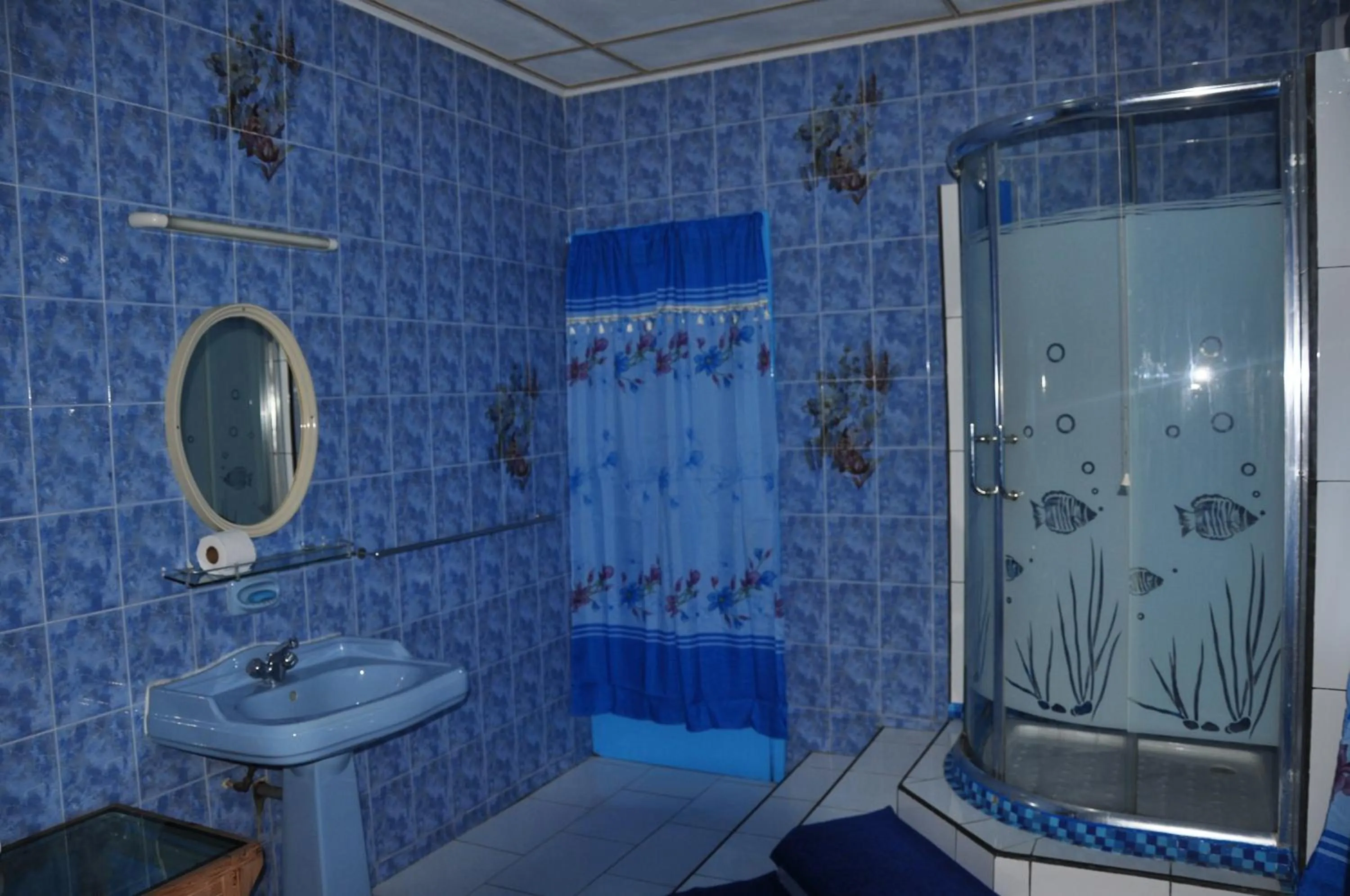 Shower in Le Chateau Bleu