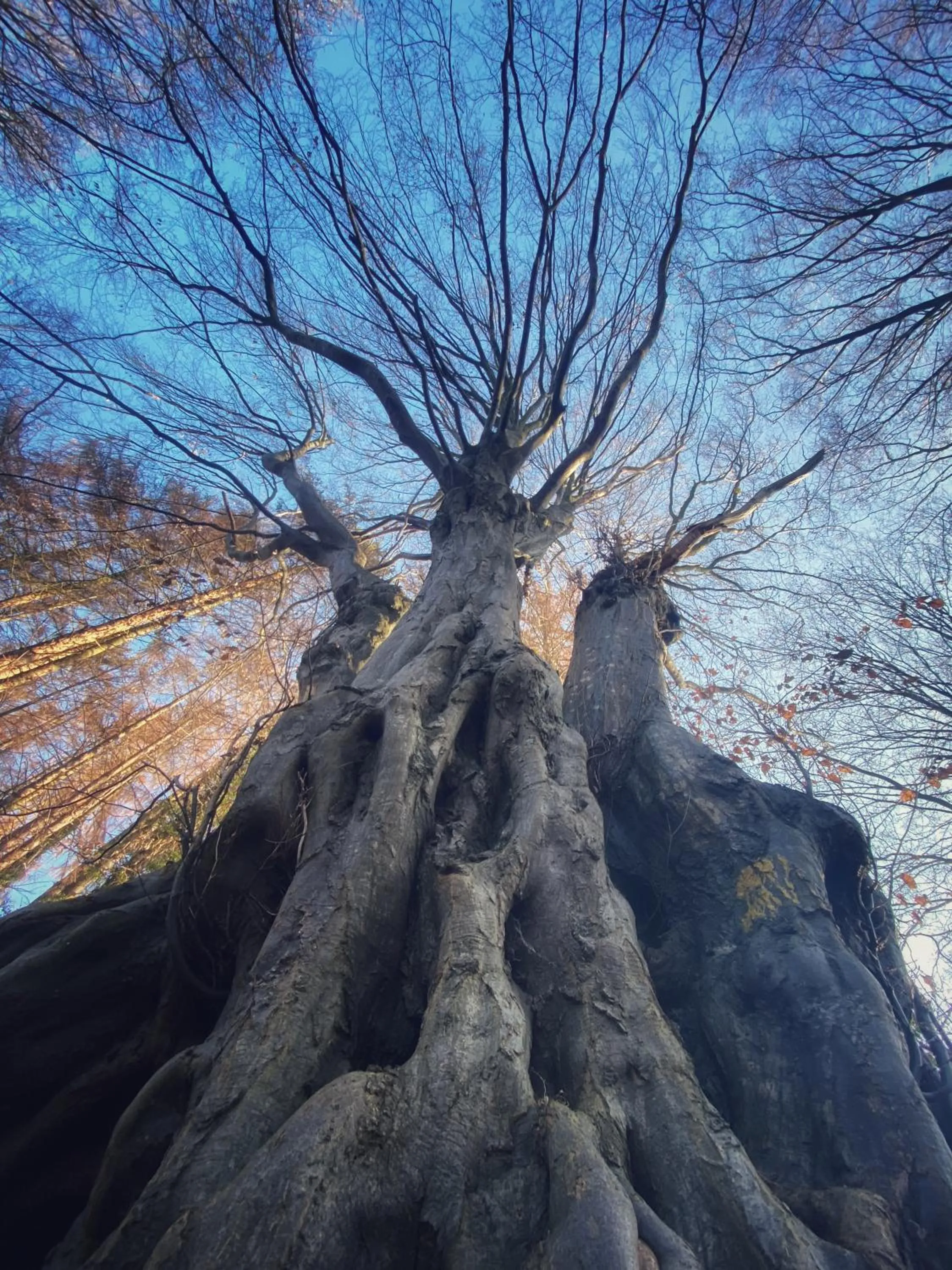 Natural landscape in Nîdwazô - Ecolodge & Maison d'hôtes