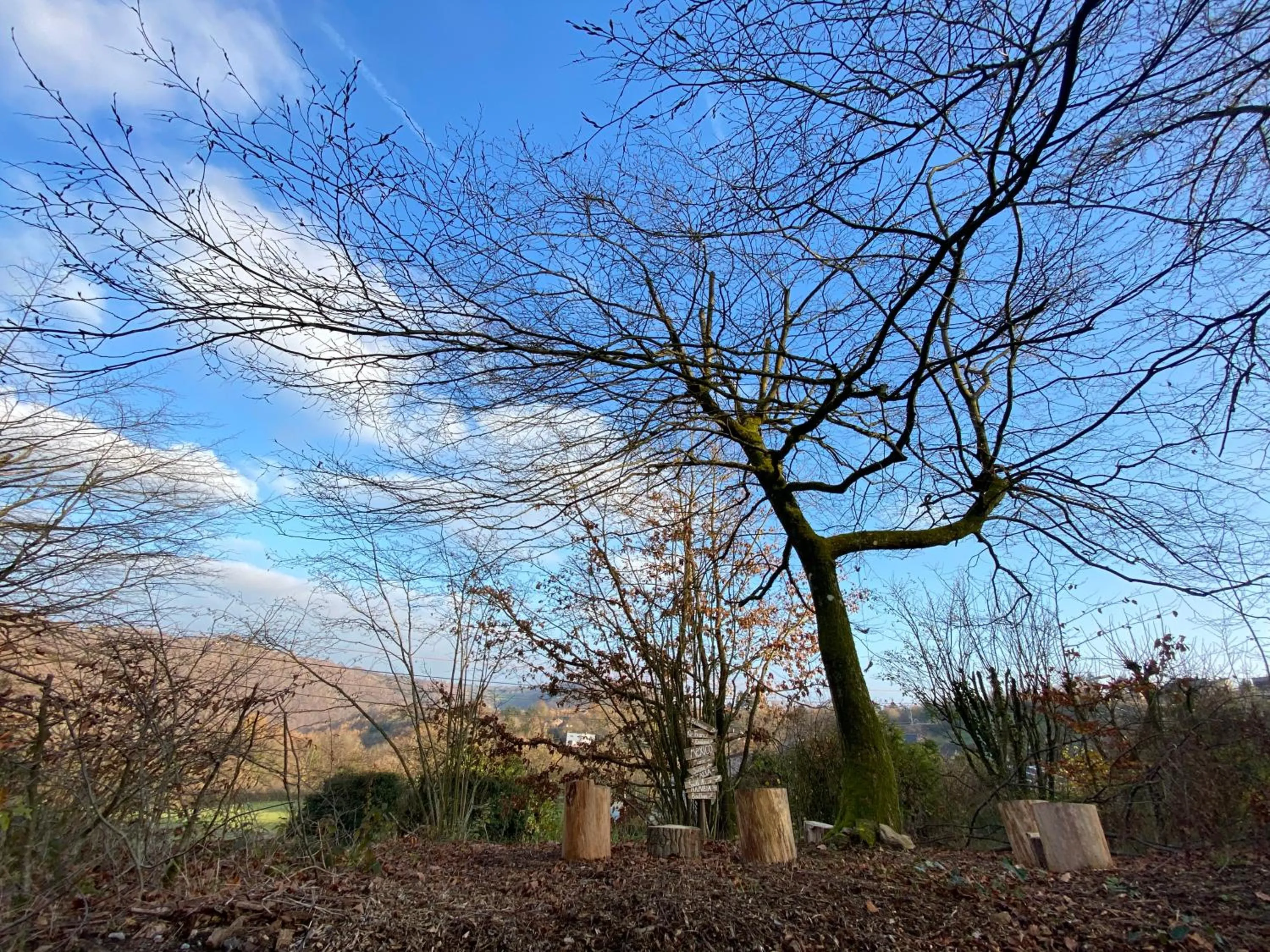 Natural landscape in Nîdwazô - Ecolodge & Maison d'hôtes