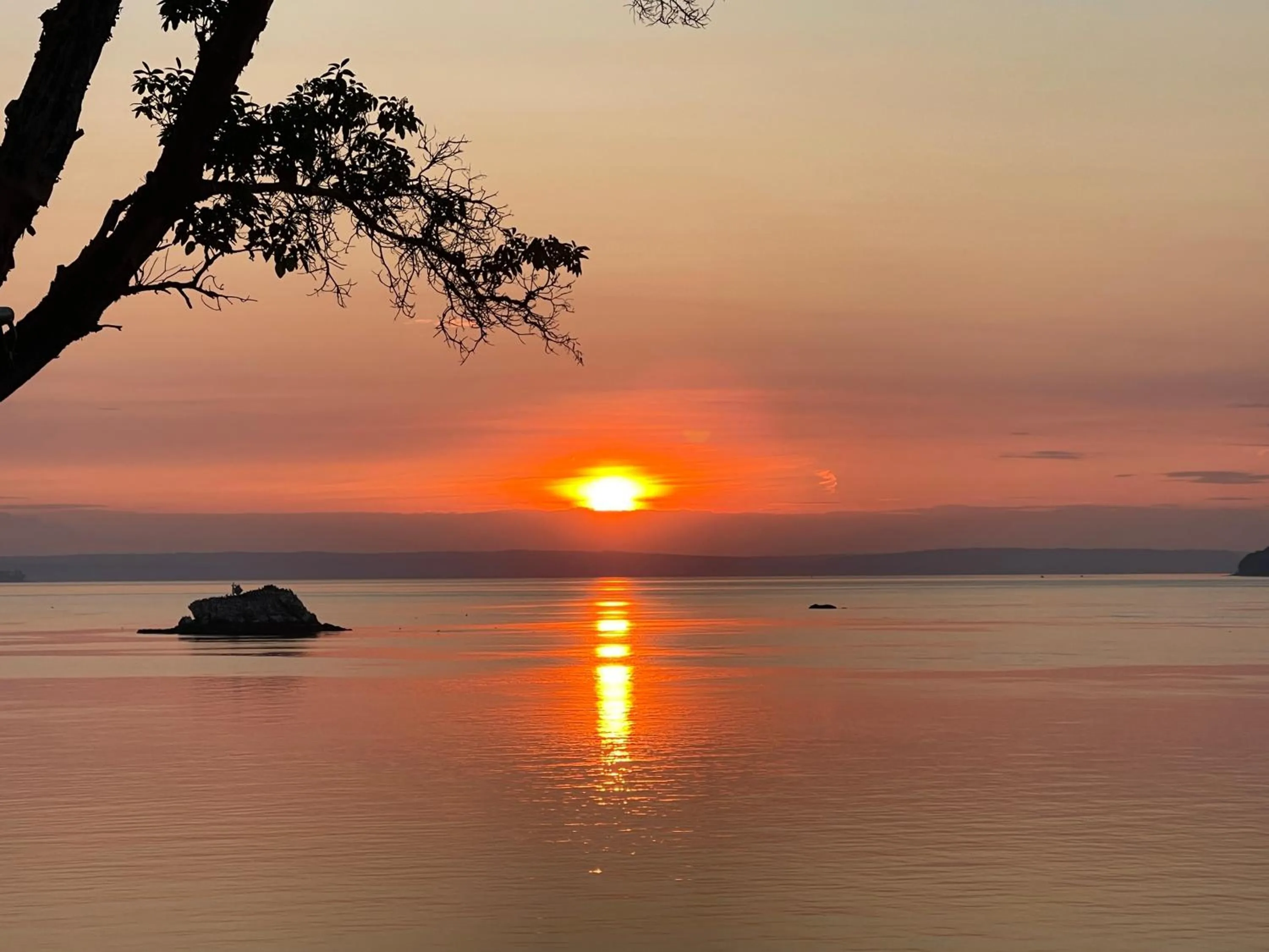 Puget Sound Chic Romantic Cottage with Private Beach Access & Gated Entry