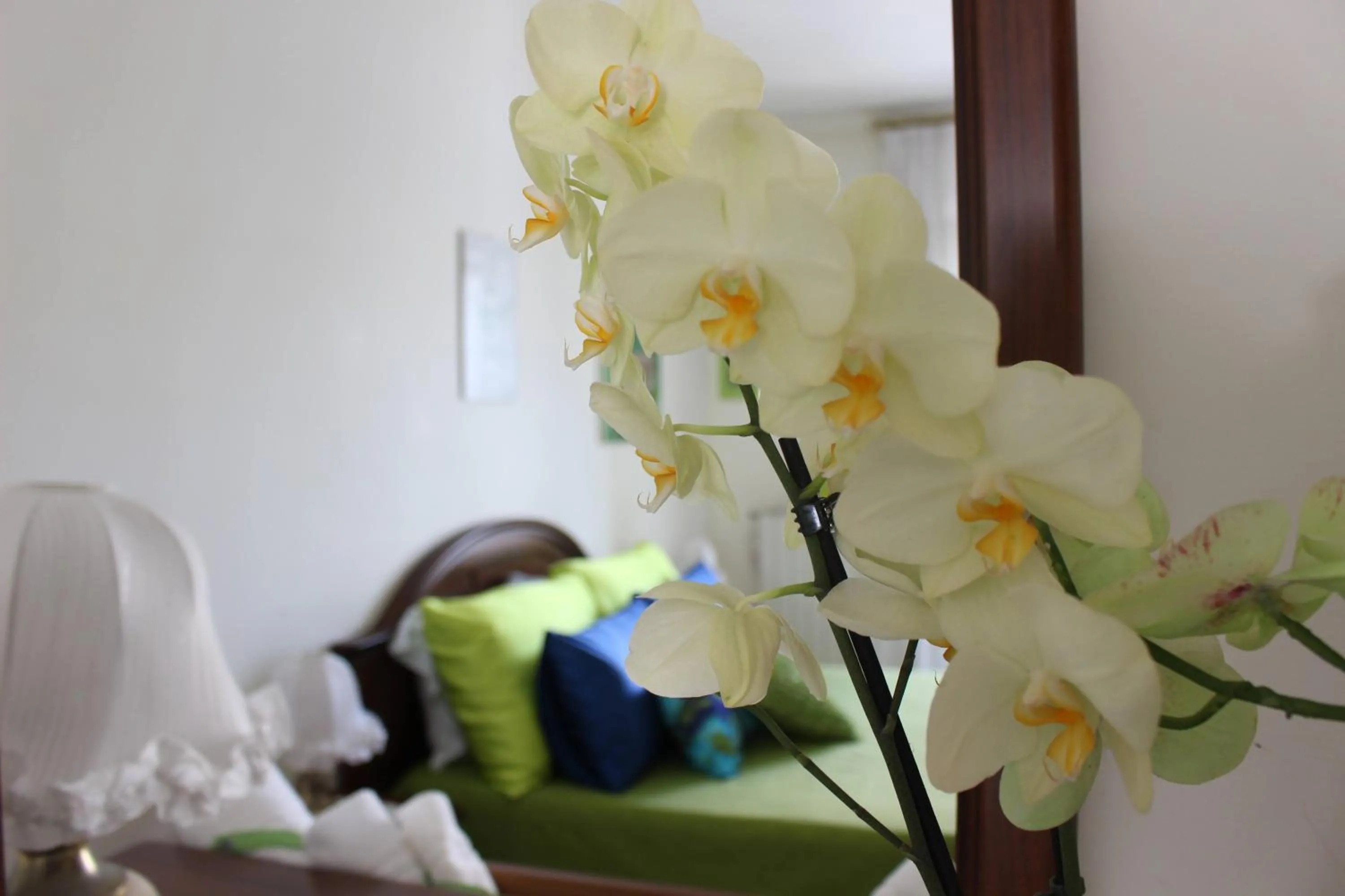 hair dresser in B&B Casa Ippolito Stabiae Coast