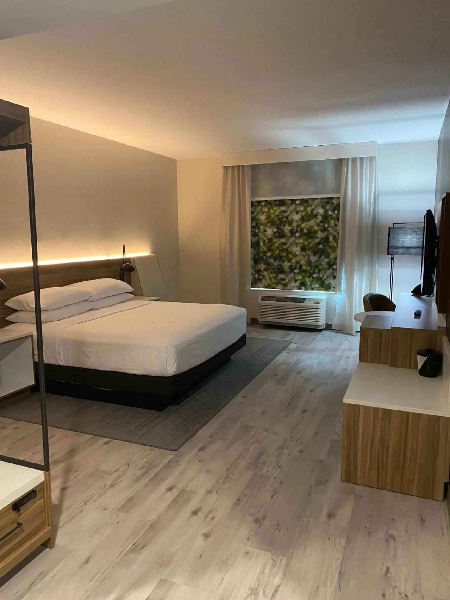 Photo of the whole room, Bed in Wyndham Garden Orlando Airport - Free Airport Shuttle