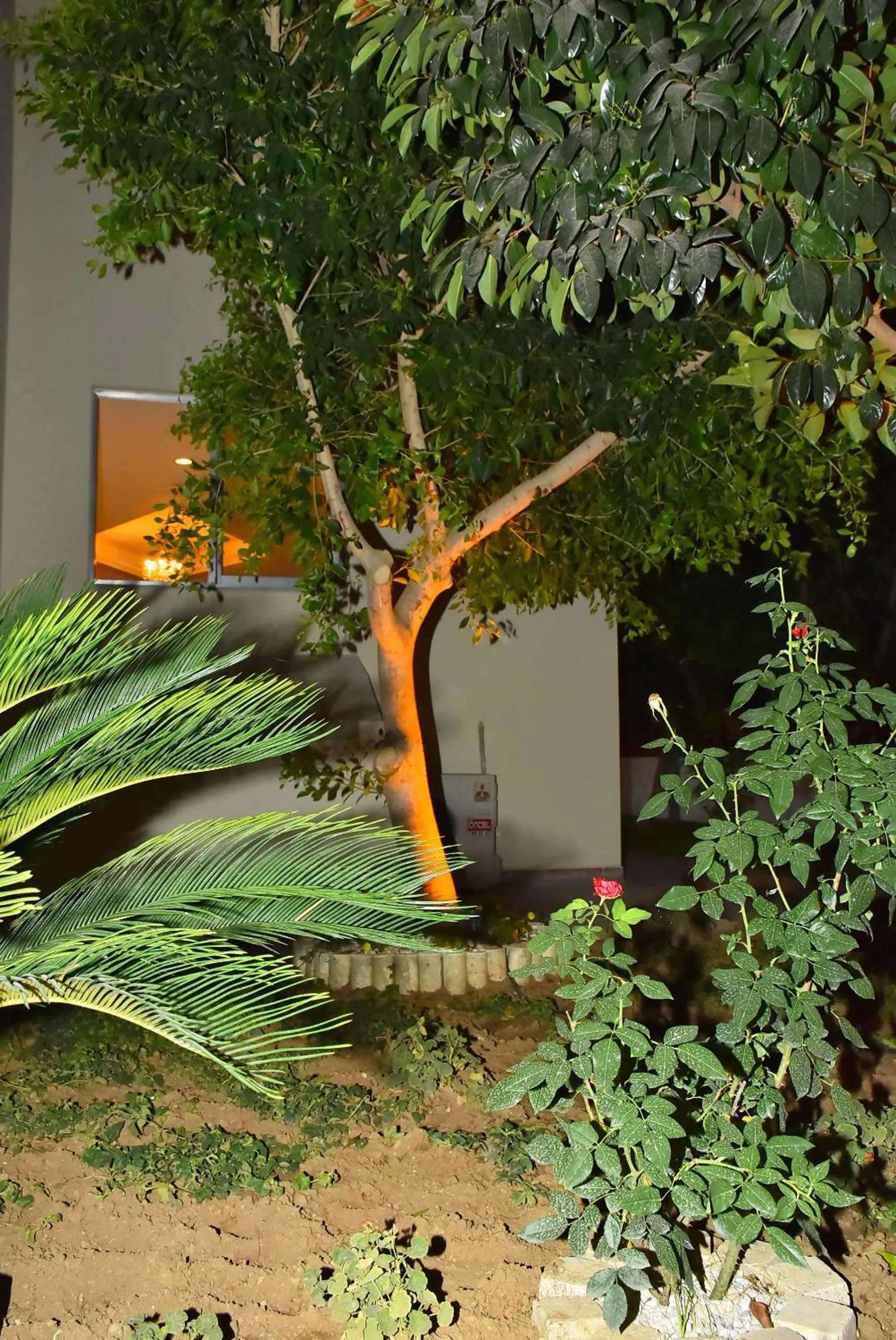 Facade/entrance in Nora Suit Hotel