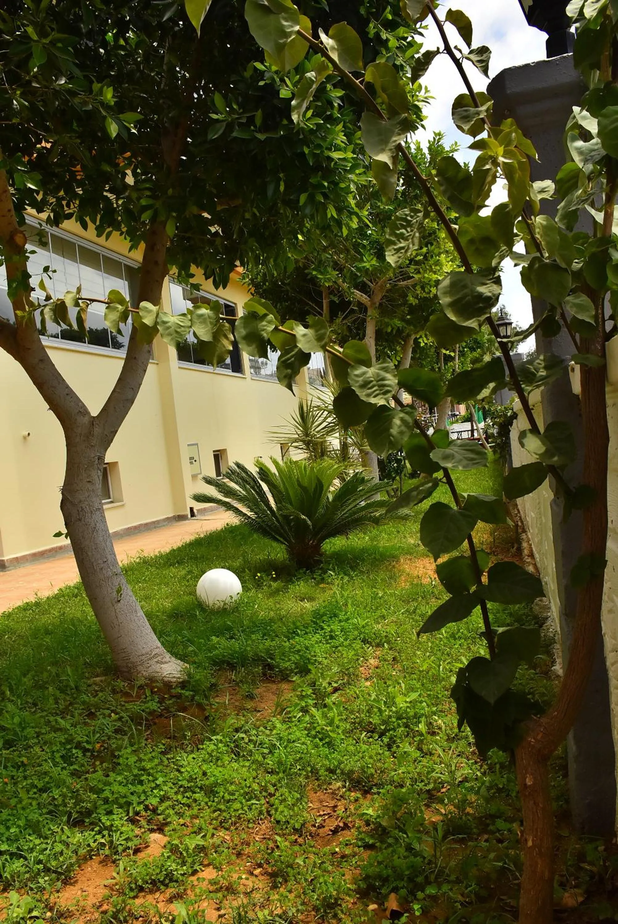 Garden in Nora Suit Hotel