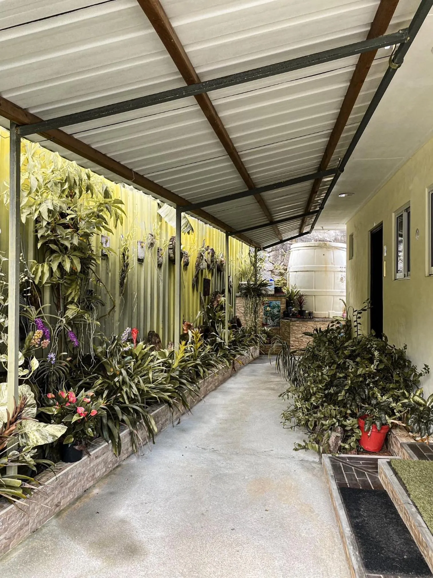 Garden in Anse Norwa Self Catering