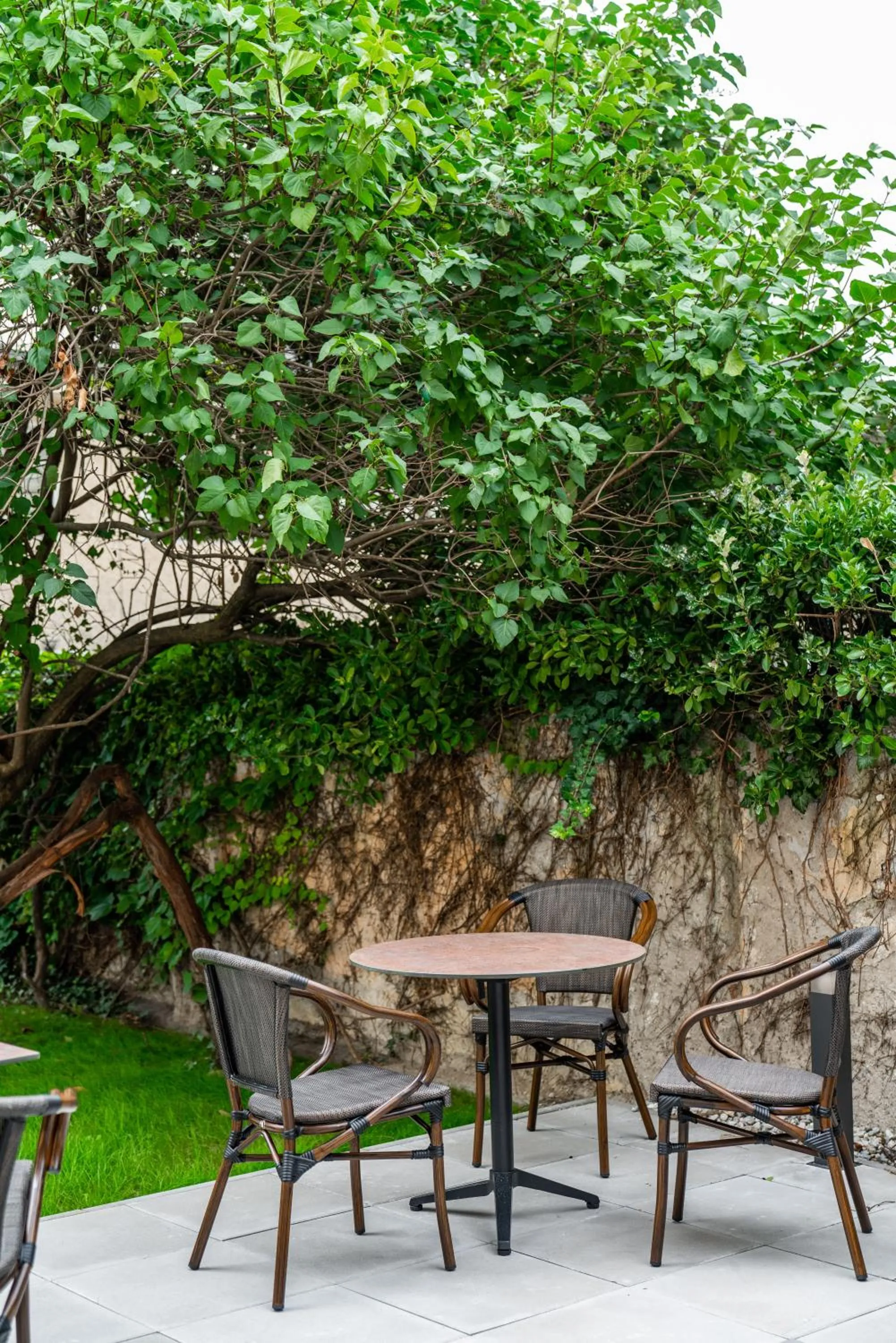 Patio in Villa Elisa