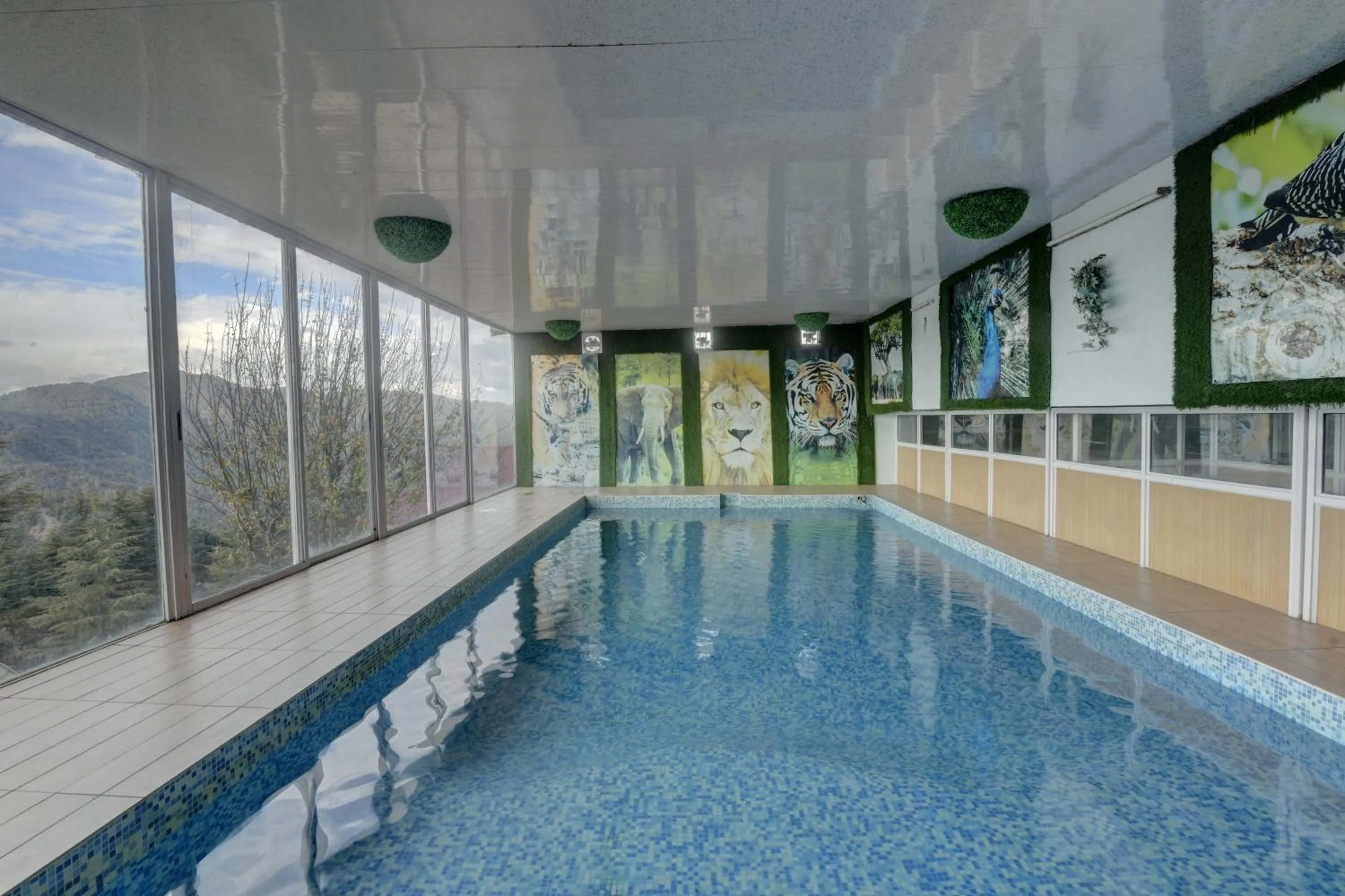 Swimming pool in Tarika Resort & Spa , Chail