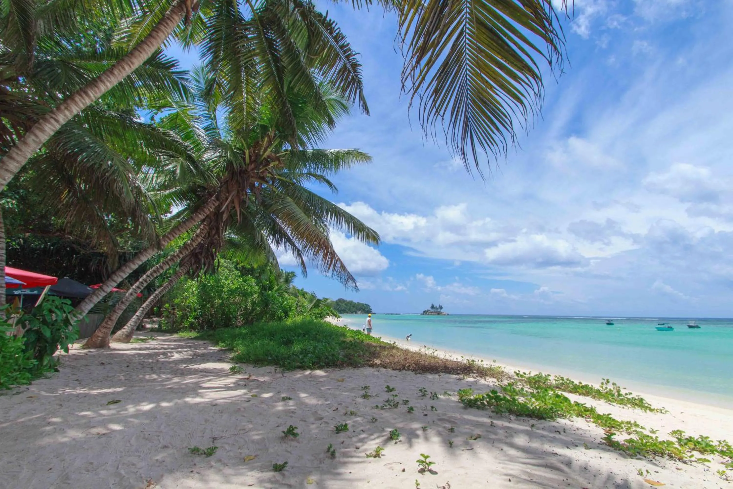 Beach in Coco Blanche