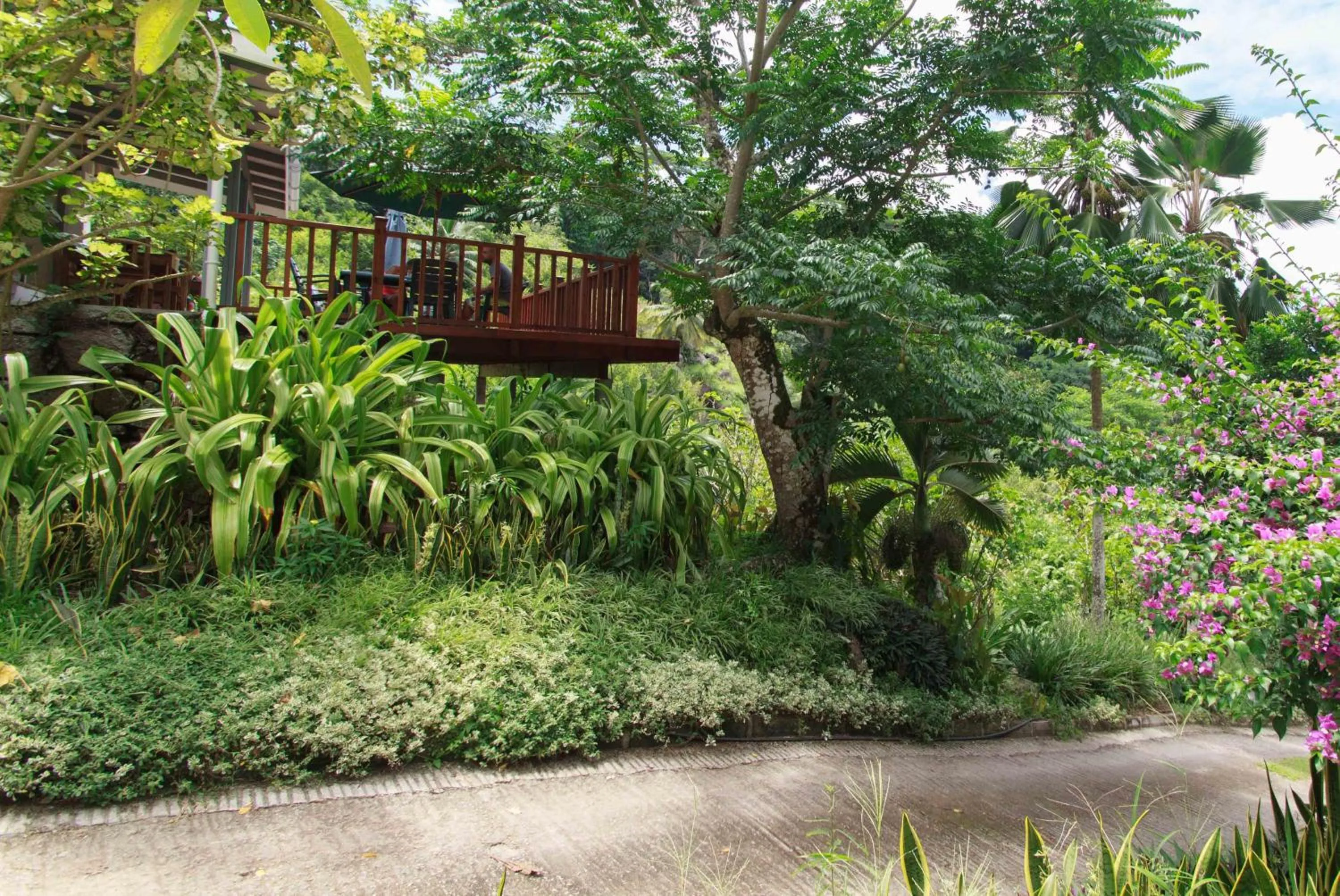 Restaurant/places to eat in Coco Blanche