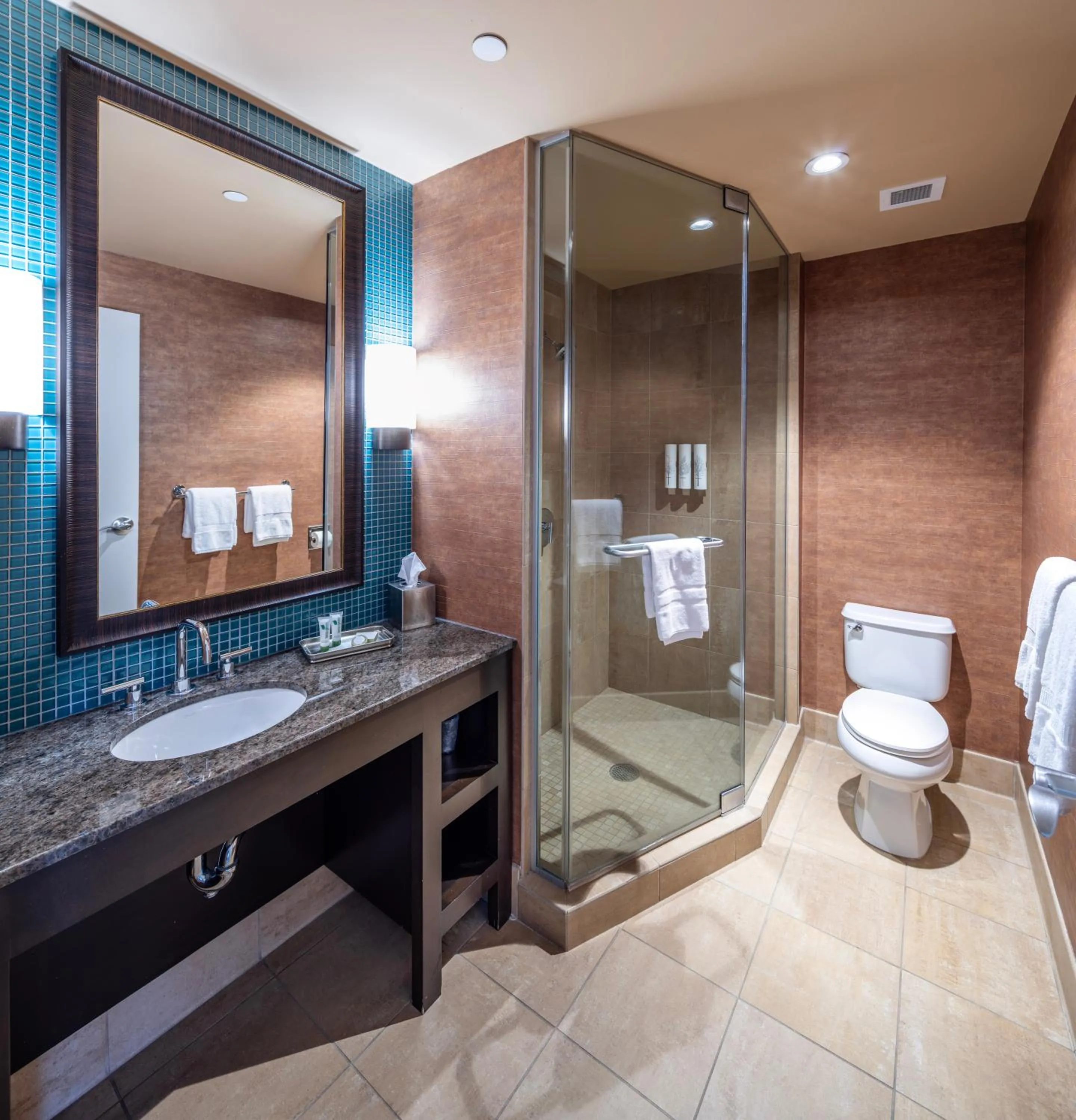 Bathroom in Akwesasne Mohawk Casino Resort and Players Inn Hotel -formerly Comfort Inn and Suites Hogansburg NY