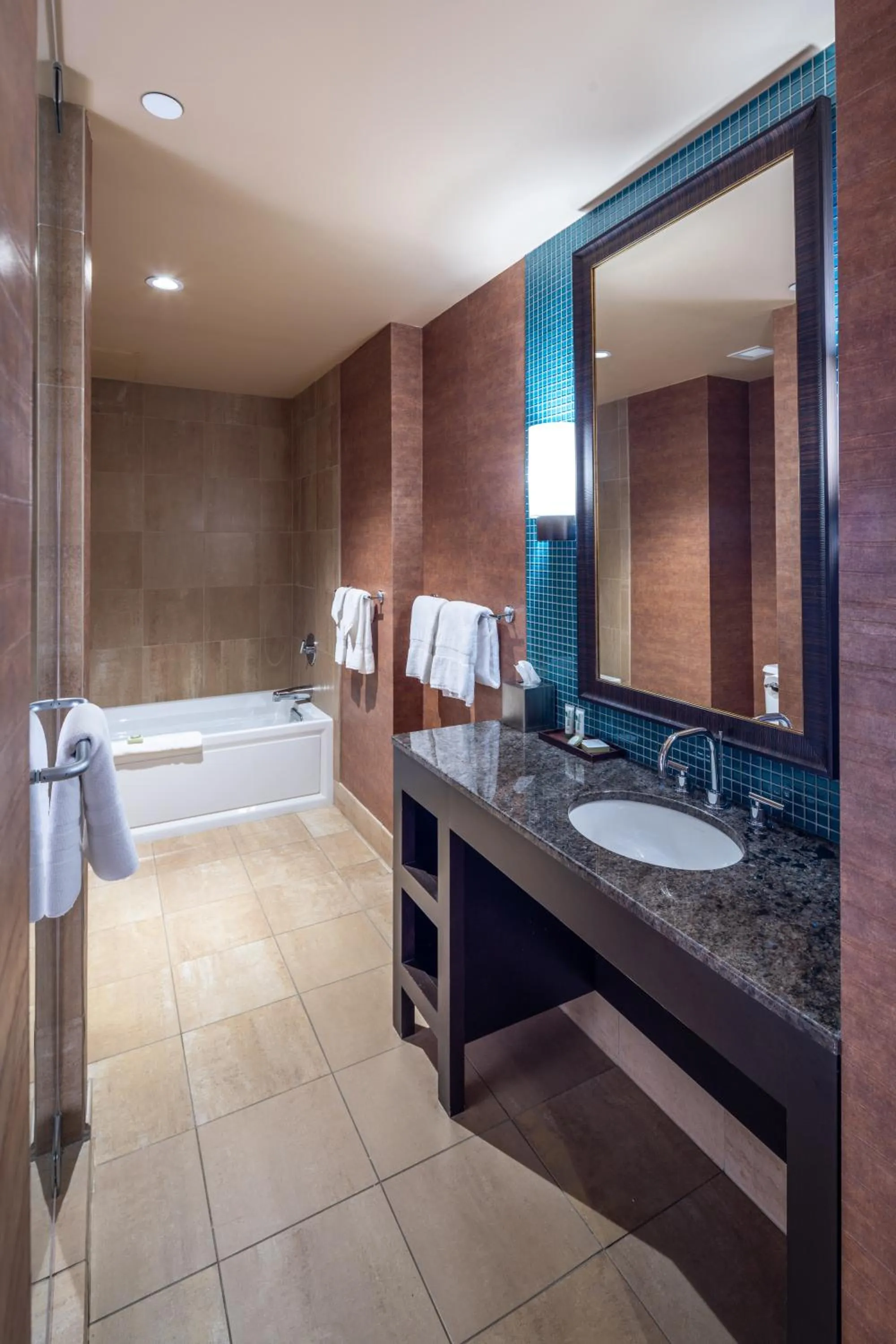 Bathroom in Akwesasne Mohawk Casino Resort and Players Inn Hotel -formerly Comfort Inn and Suites Hogansburg NY