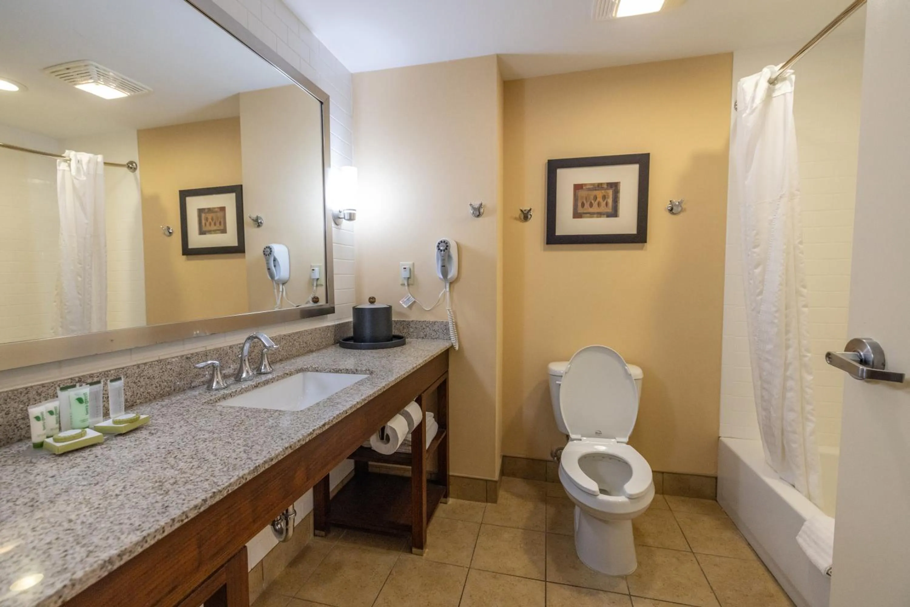 Bathroom in Akwesasne Mohawk Casino Resort and Players Inn Hotel -formerly Comfort Inn and Suites Hogansburg NY