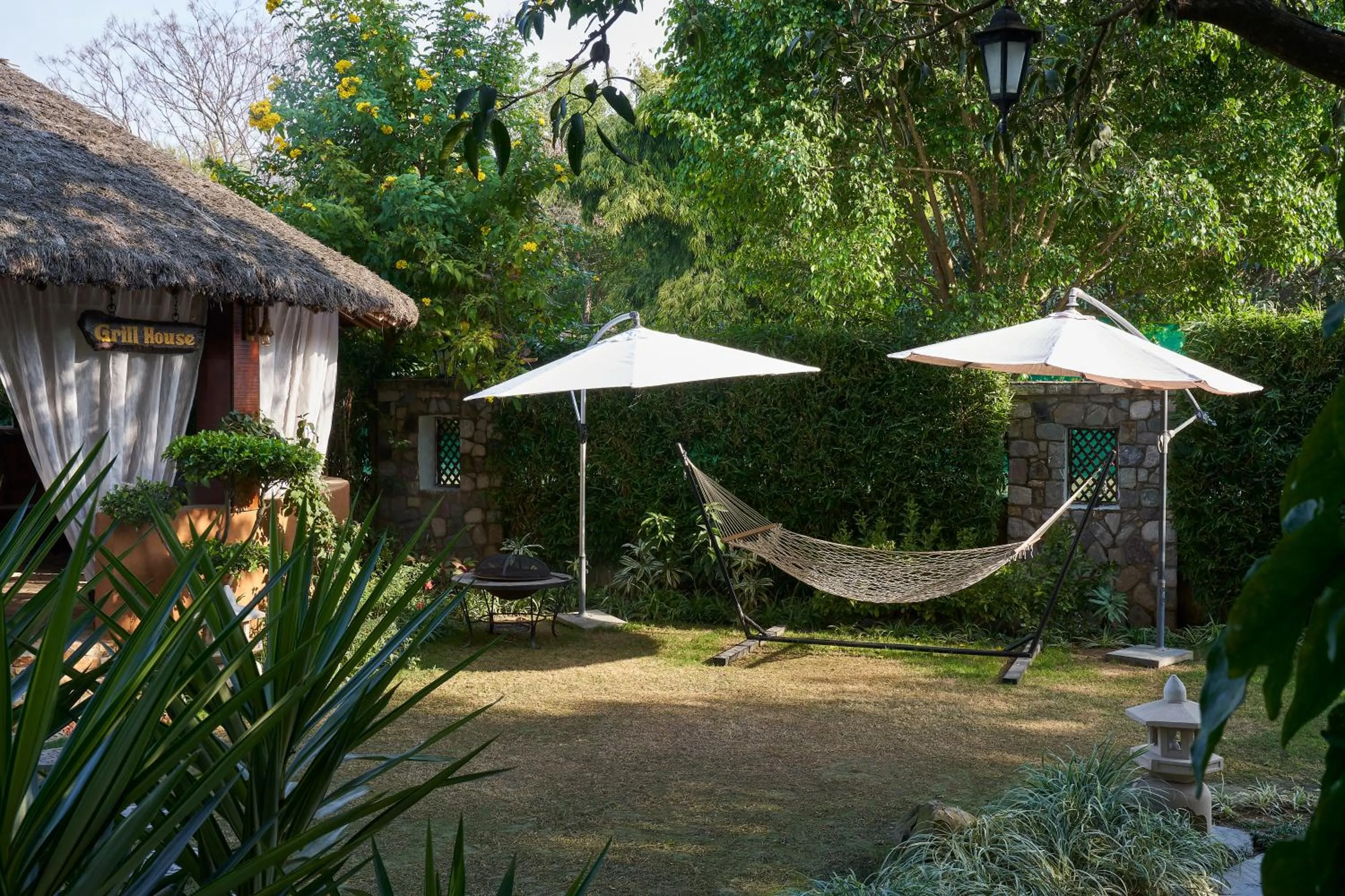 Activities in Tree of Life Vanvilas Riveredge Corbett