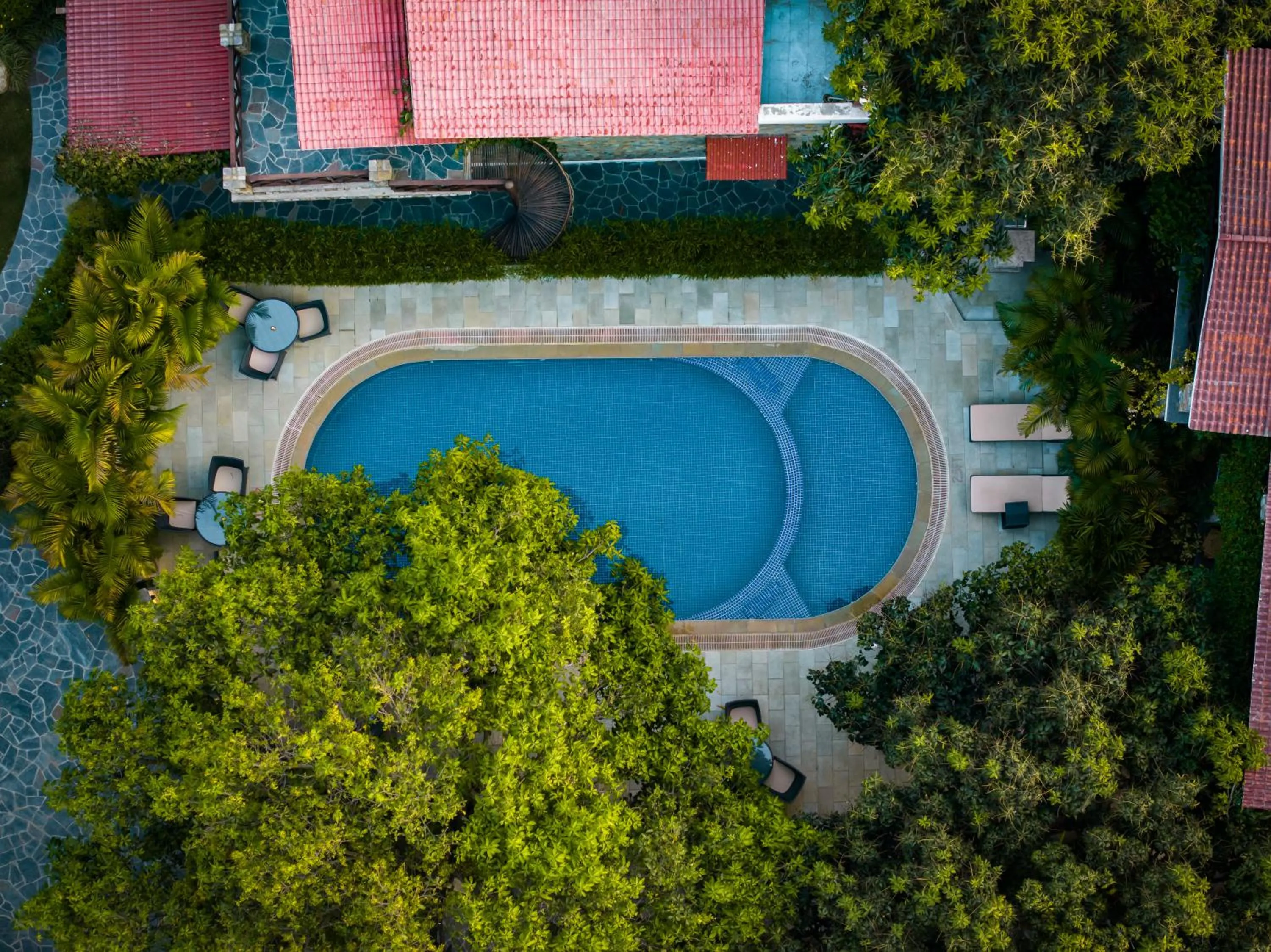 Bird's eye view in Tree of Life Vanvilas Riveredge Corbett