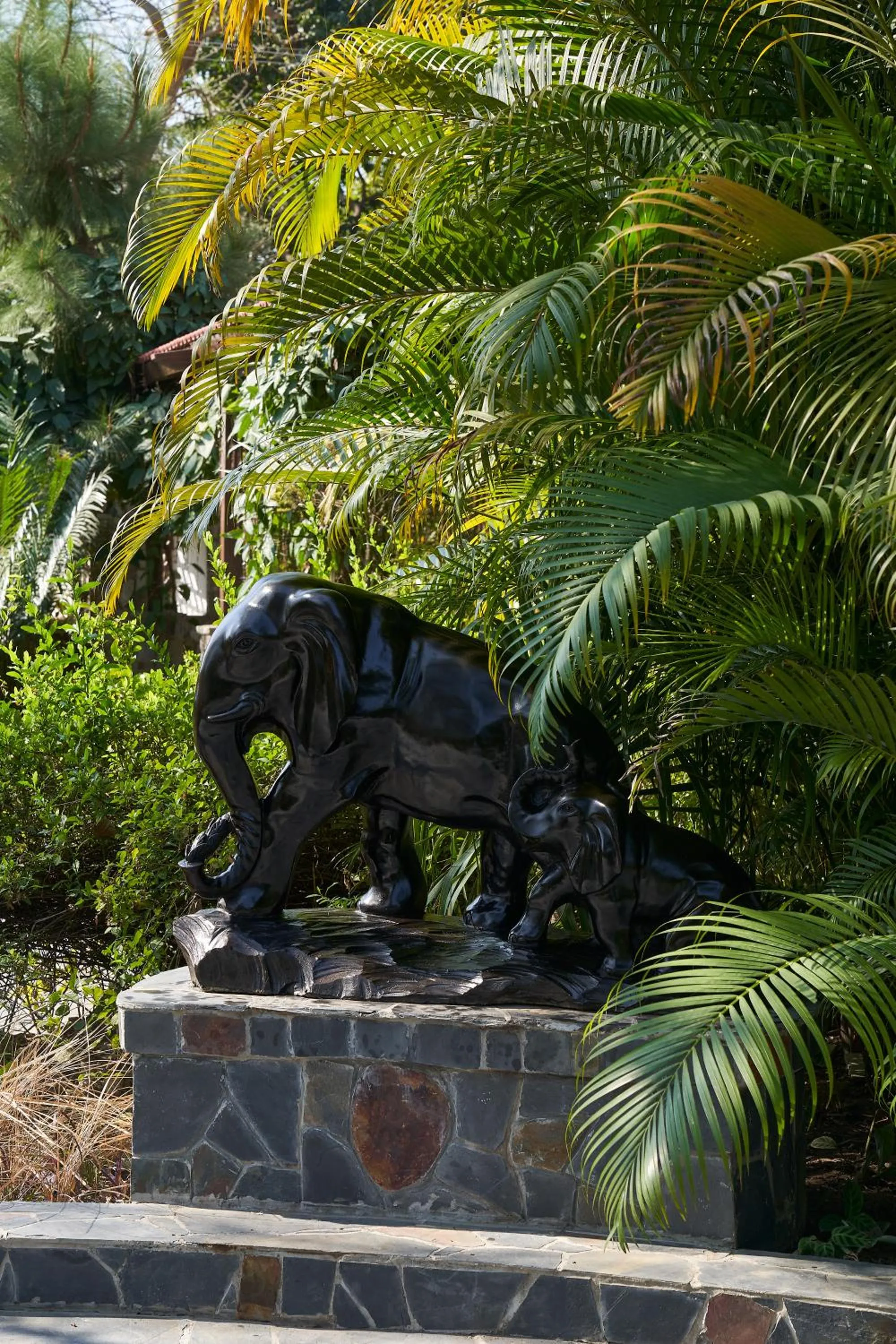 Other in Tree of Life Vanvilas Riveredge Corbett