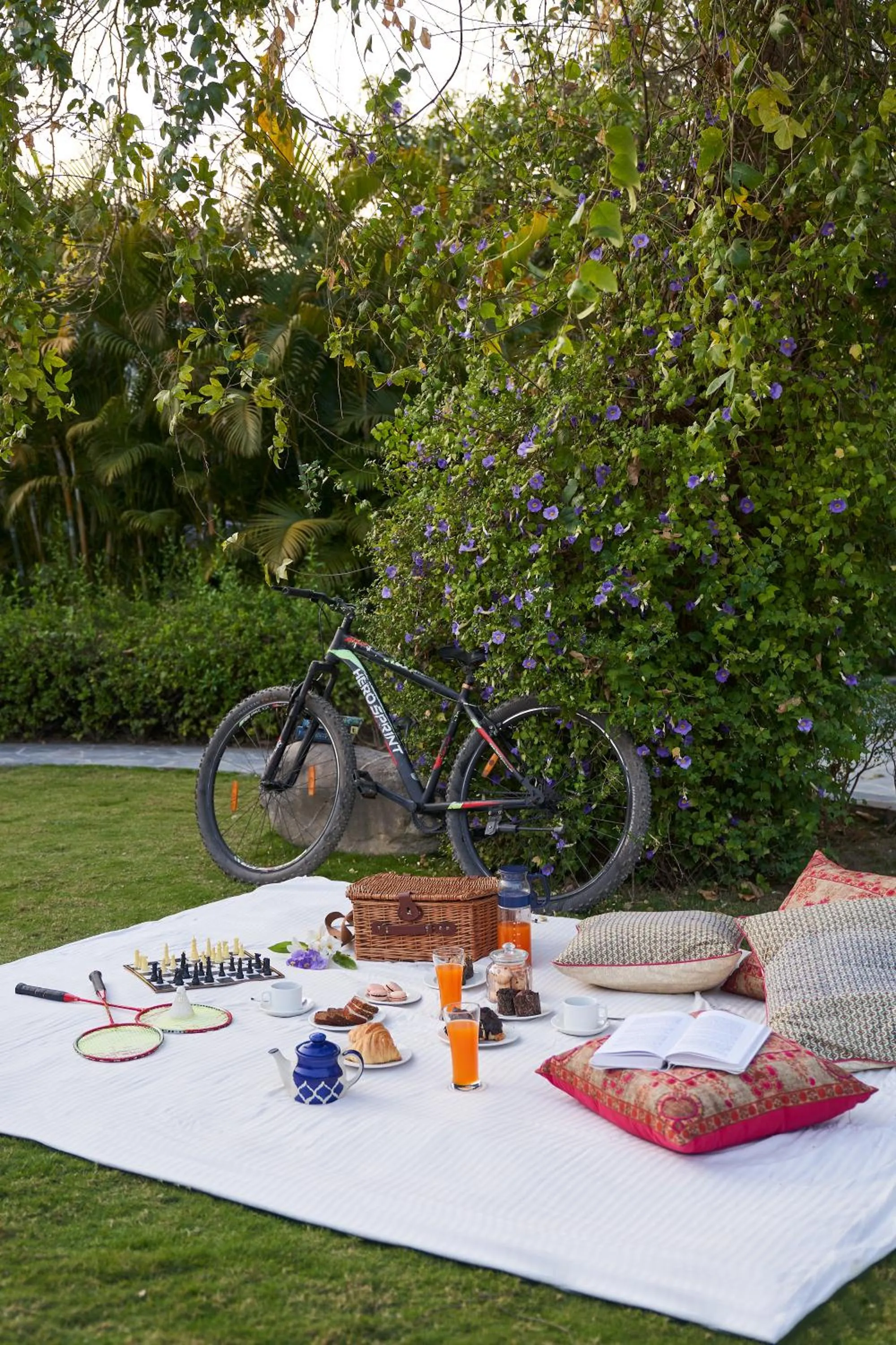 Activities in Tree of Life Vanvilas Riveredge Corbett