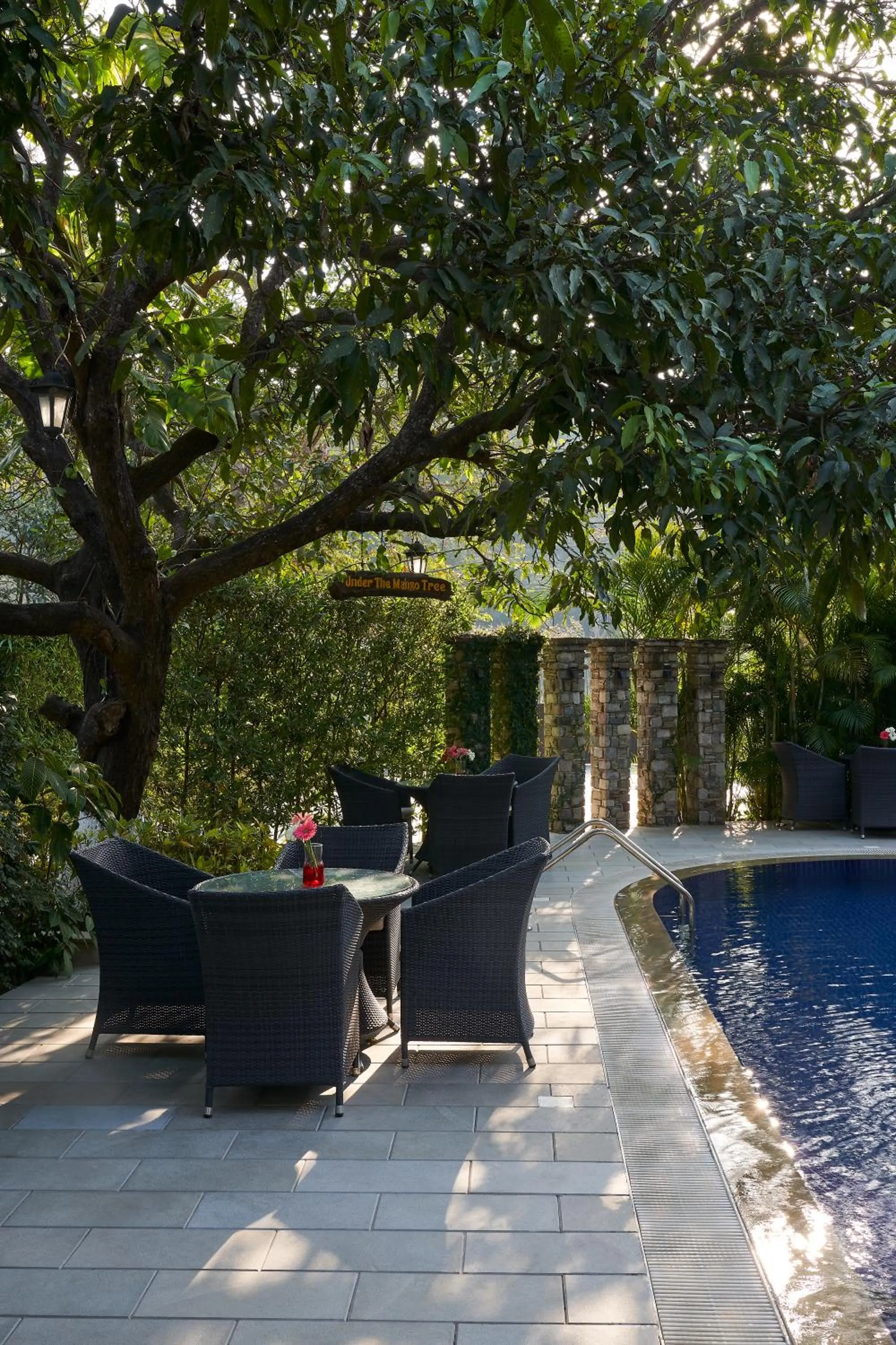 Swimming pool in Tree of Life Vanvilas Riveredge Corbett