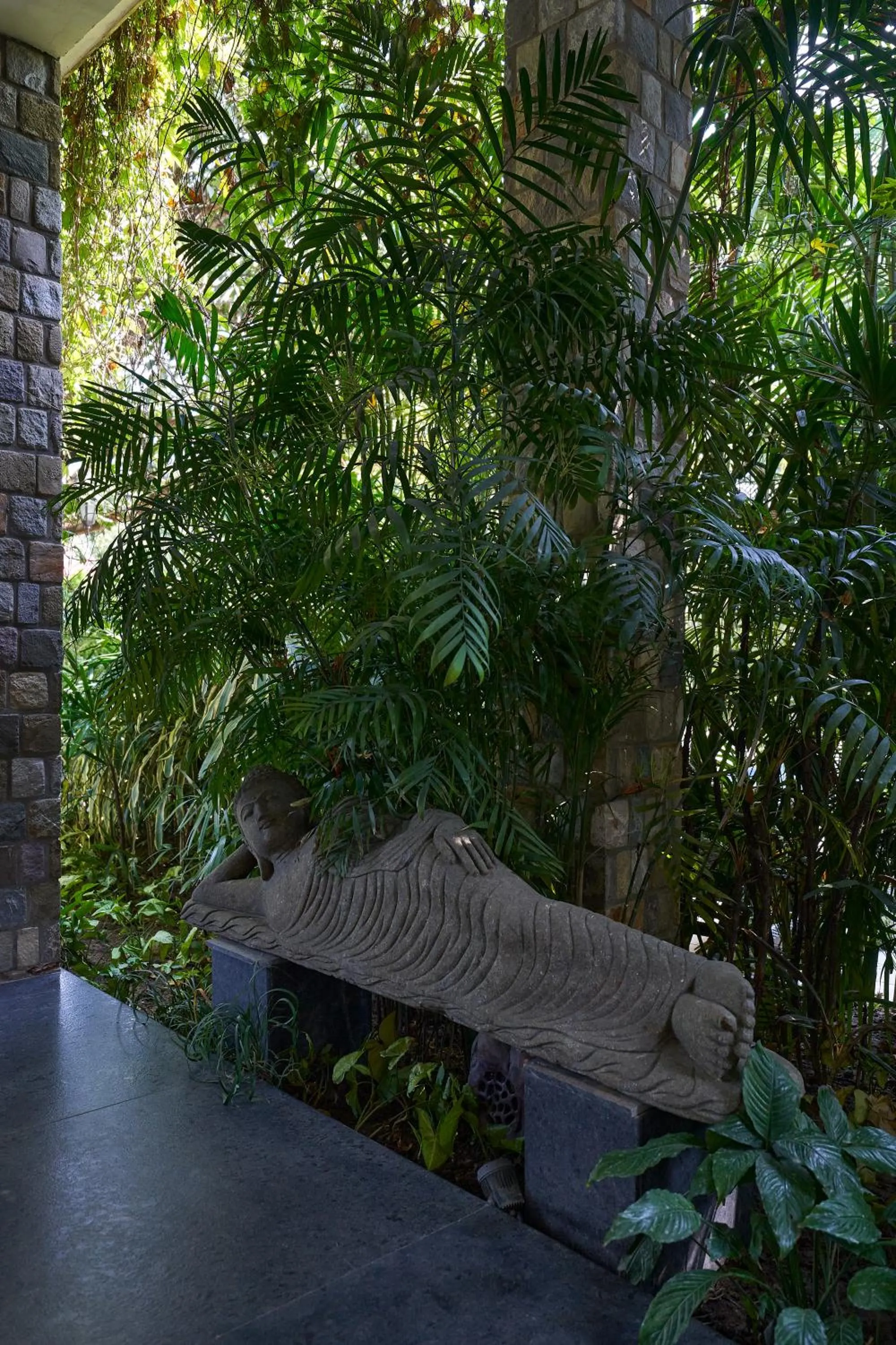 Other in Tree of Life Vanvilas Riveredge Corbett