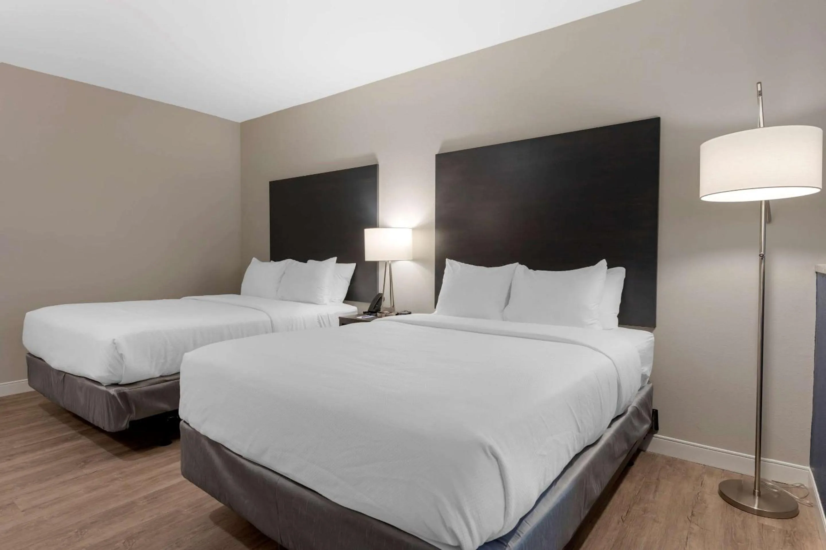 Photo of the whole room, Bed in Comfort Suites Cincinnati University - Downtown