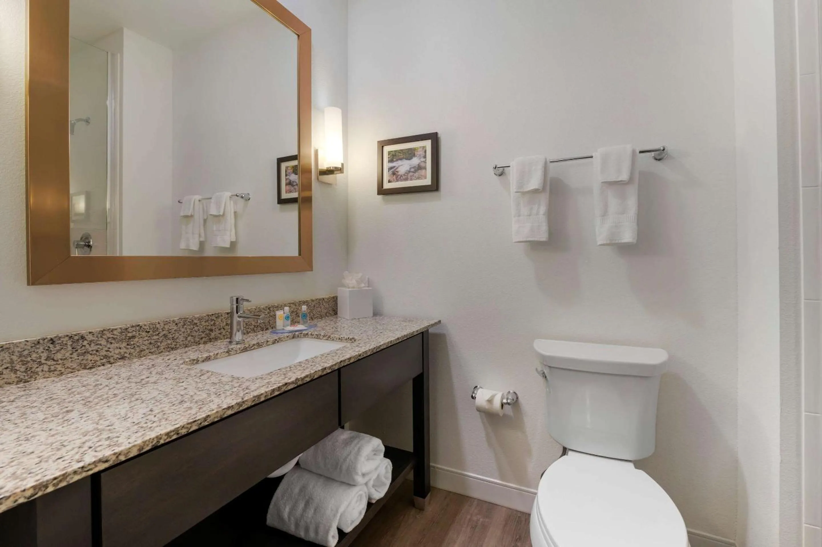 Bathroom in Comfort Suites Cincinnati University - Downtown