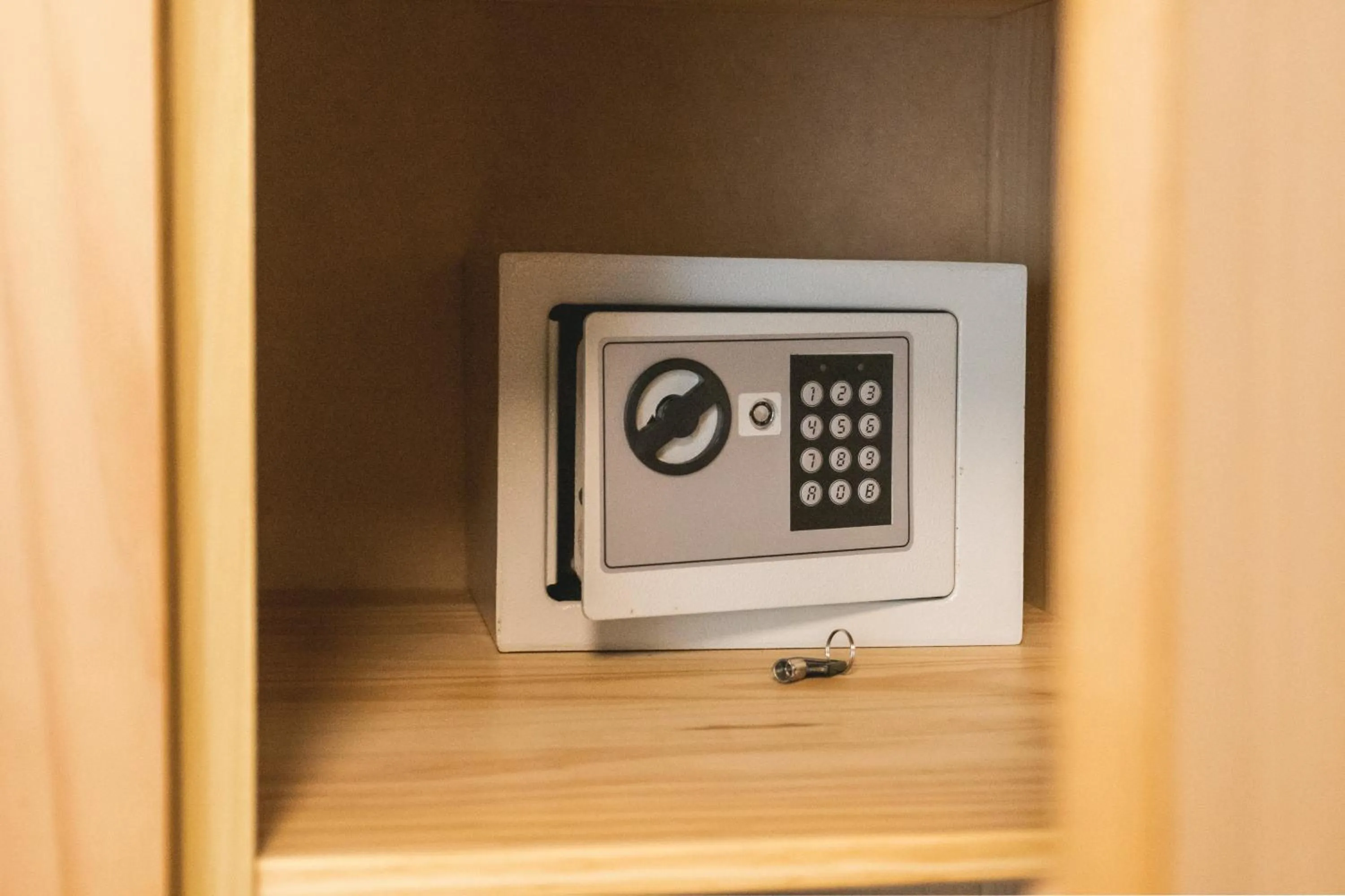 safe in Dante Suites