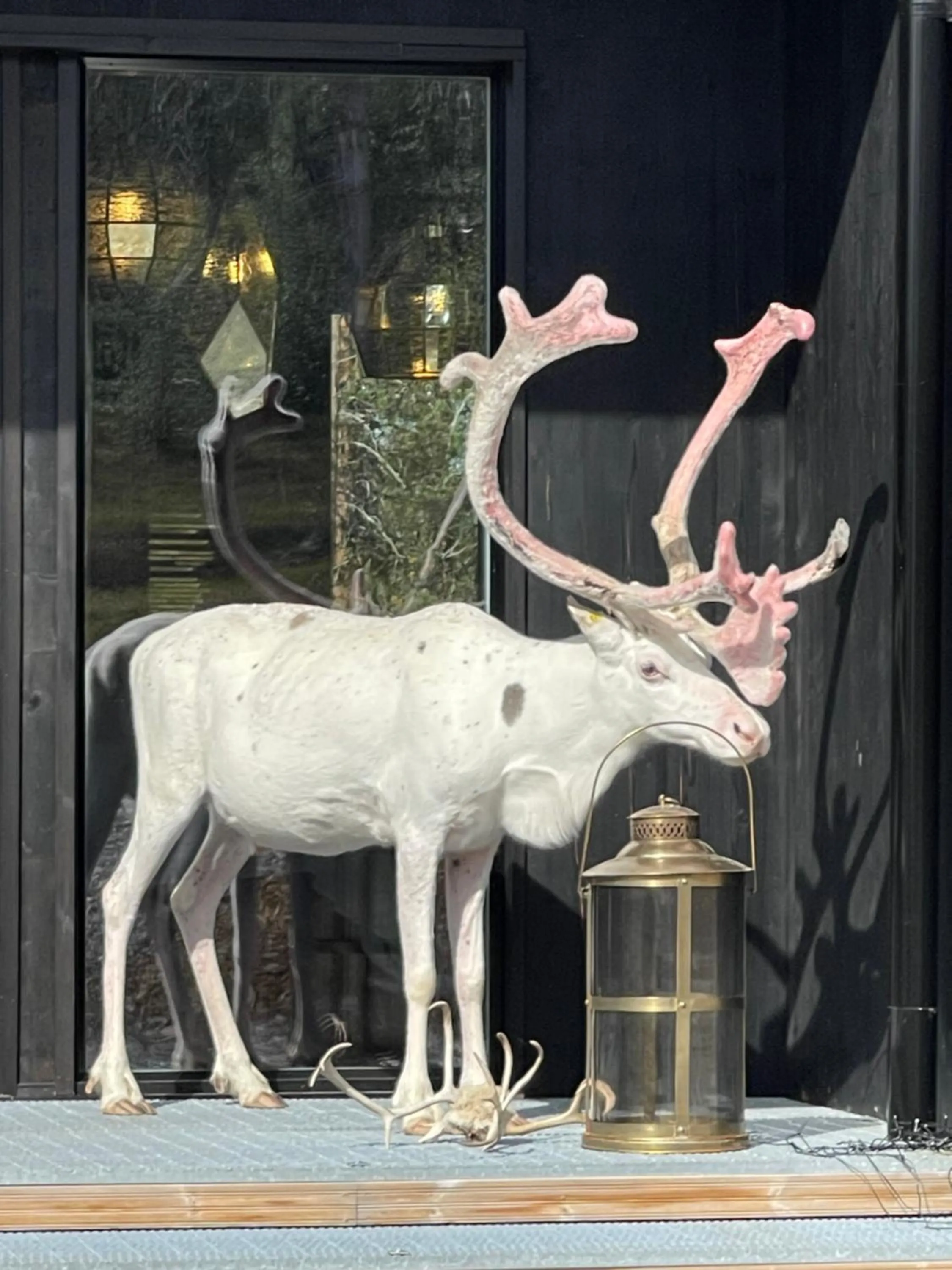 Restaurant/places to eat in Aurora Queen Resort Igloos