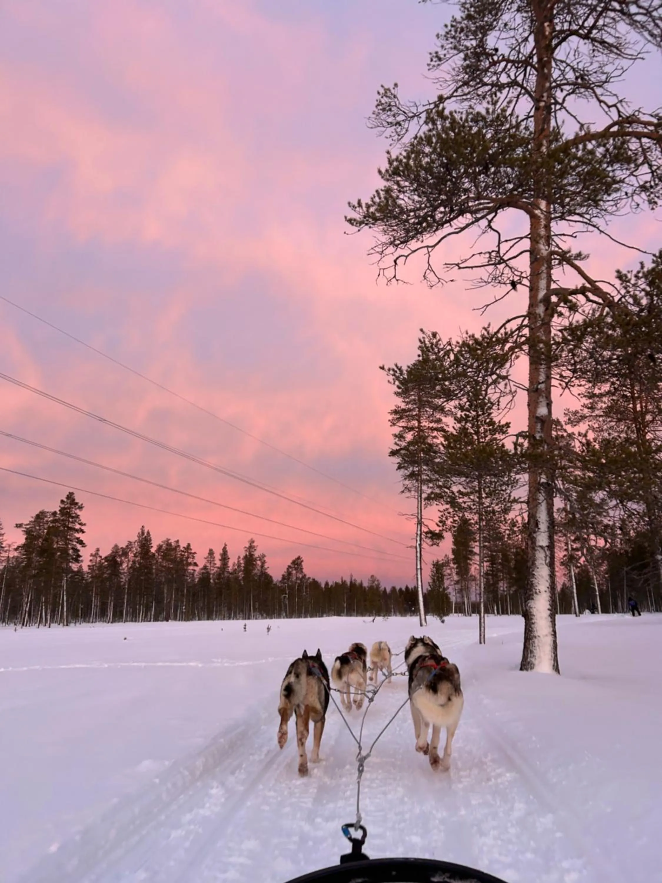 Day in Aurora Queen Resort Igloos