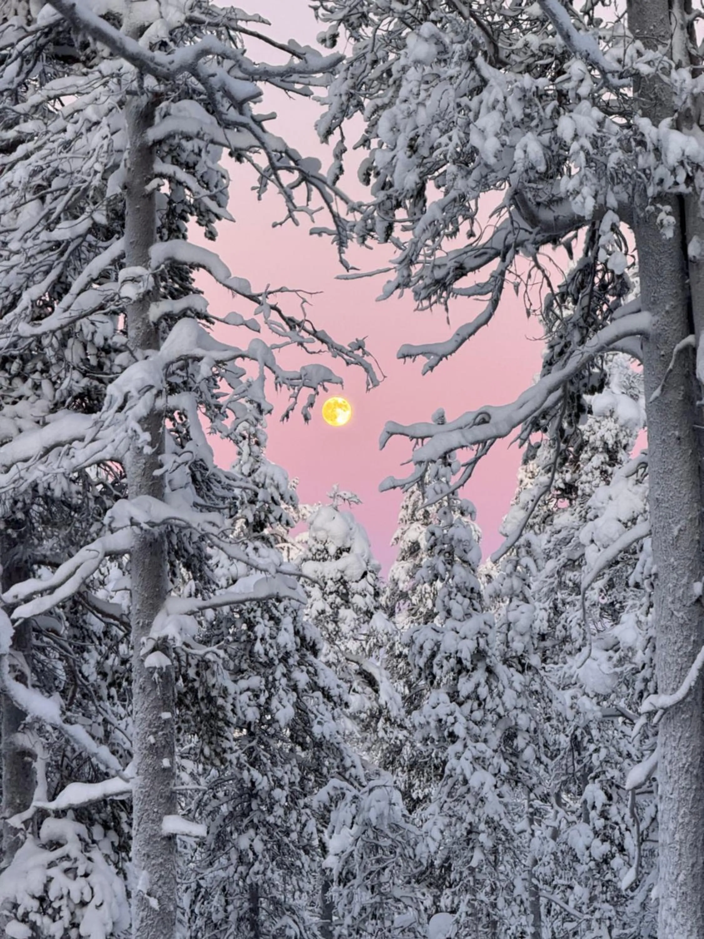 Day in Aurora Queen Resort Igloos