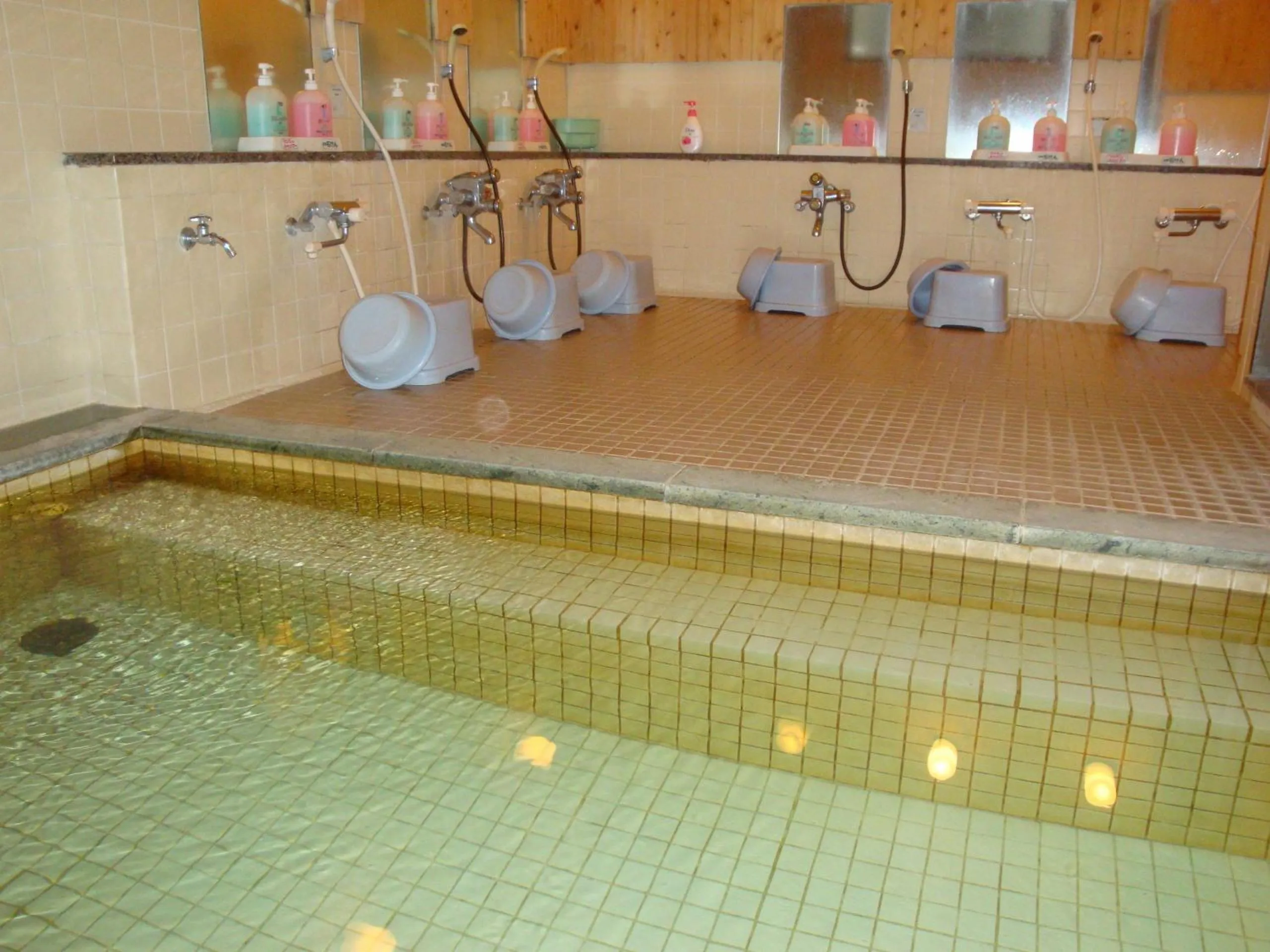 Hot Spring Bath in Hotel La Montagne Furuhata