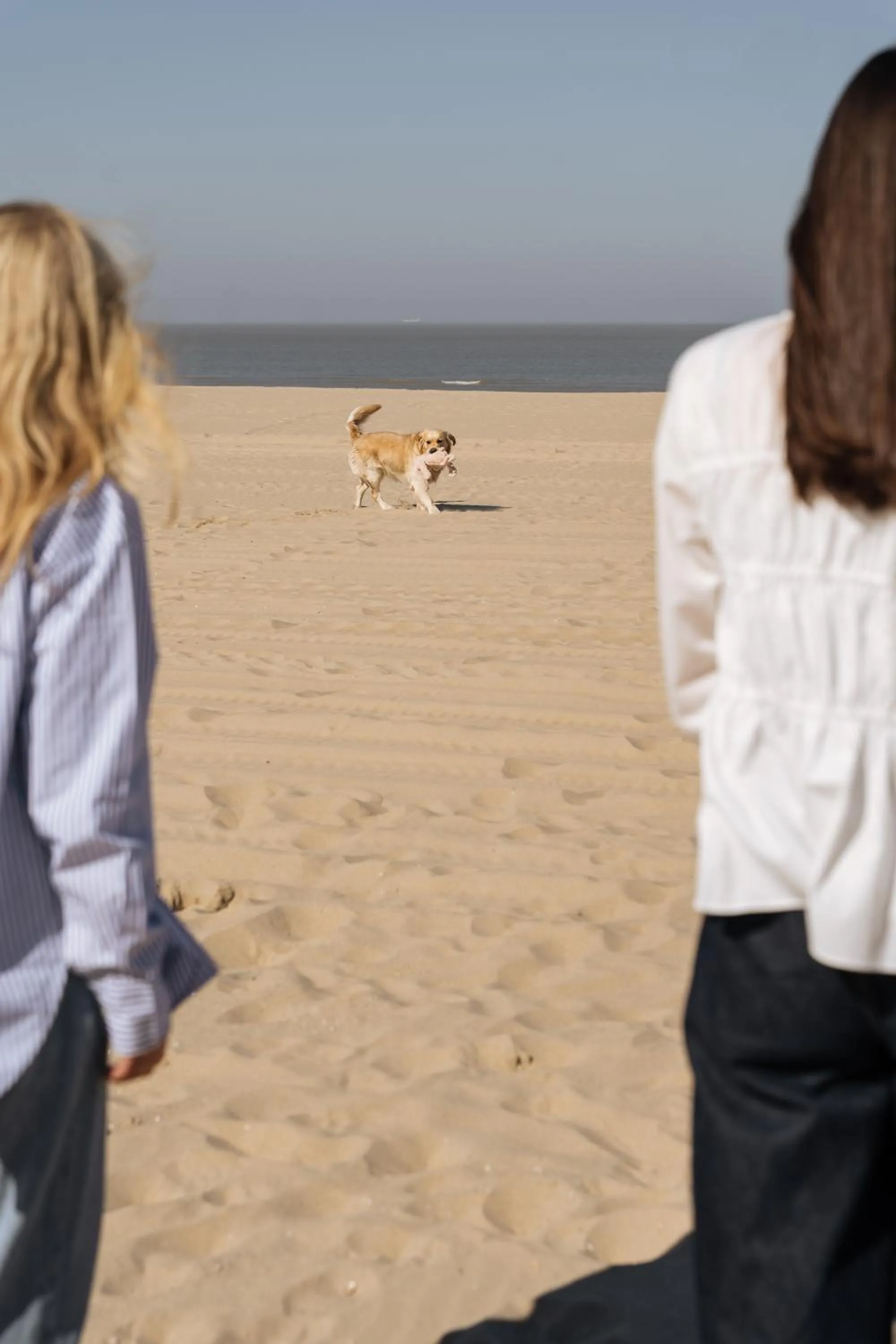 Natural landscape in Boutique Hotel Azur