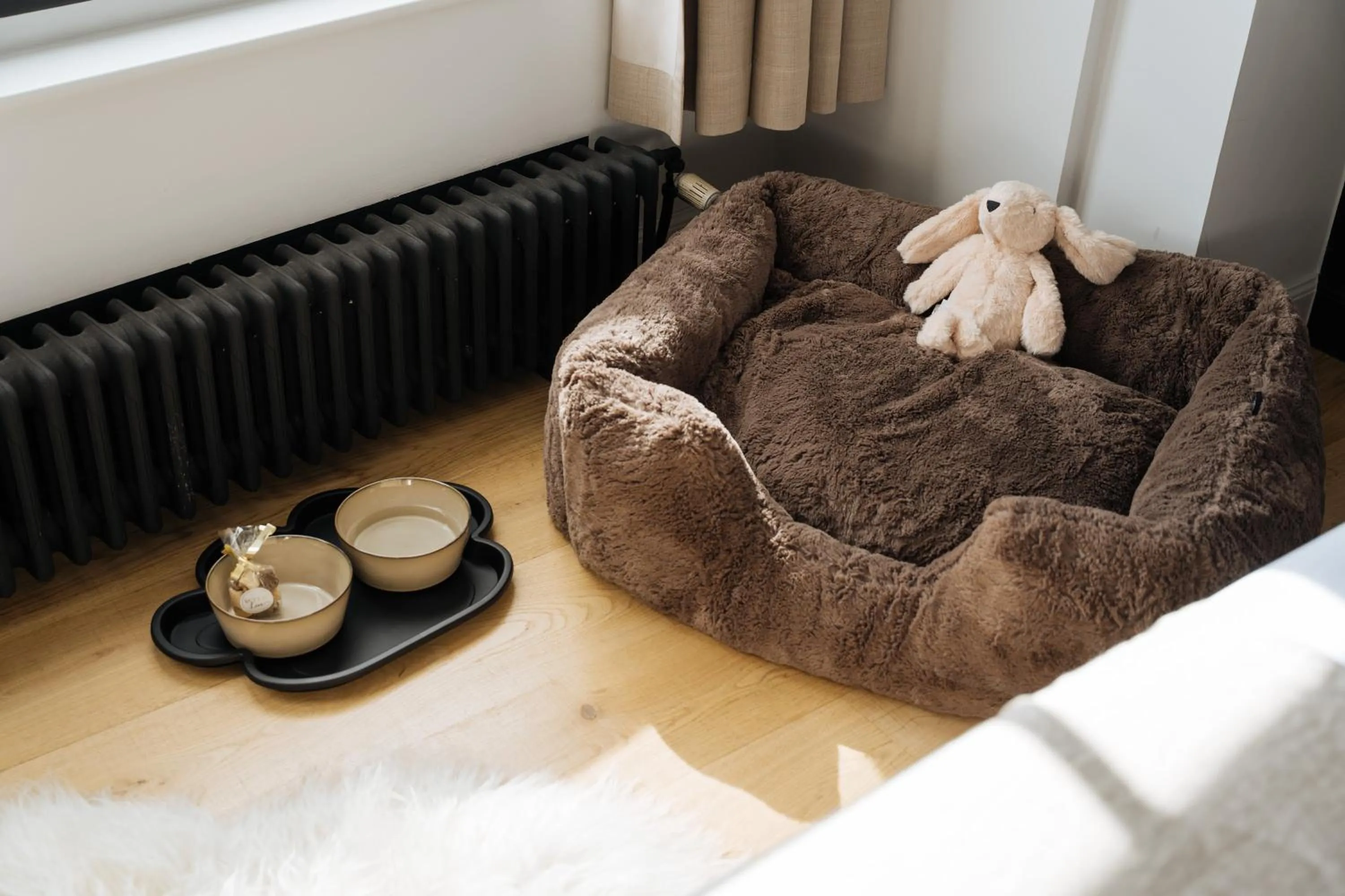 Pets in Boutique Hotel Azur