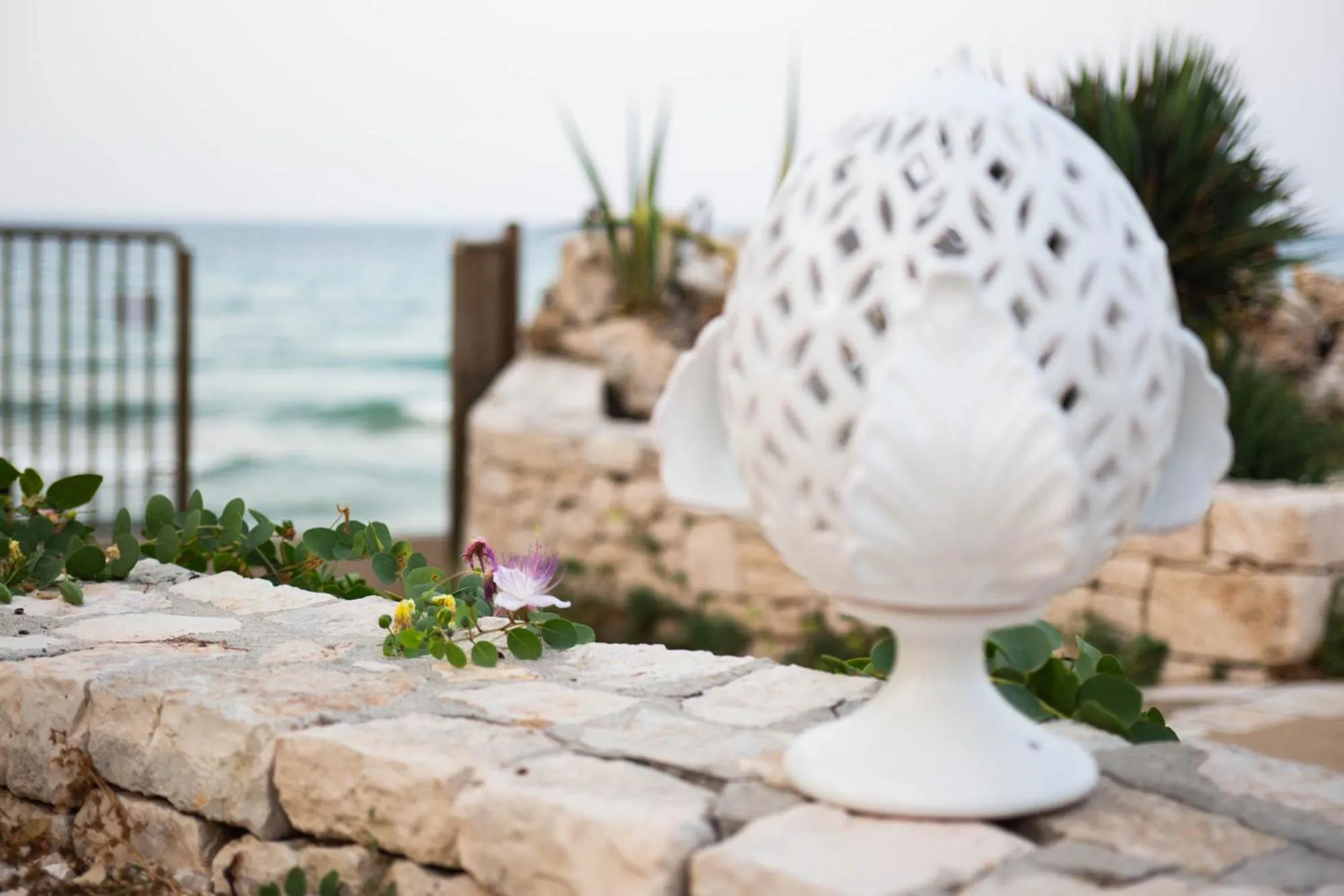 Sea view in Aurelia Sea View