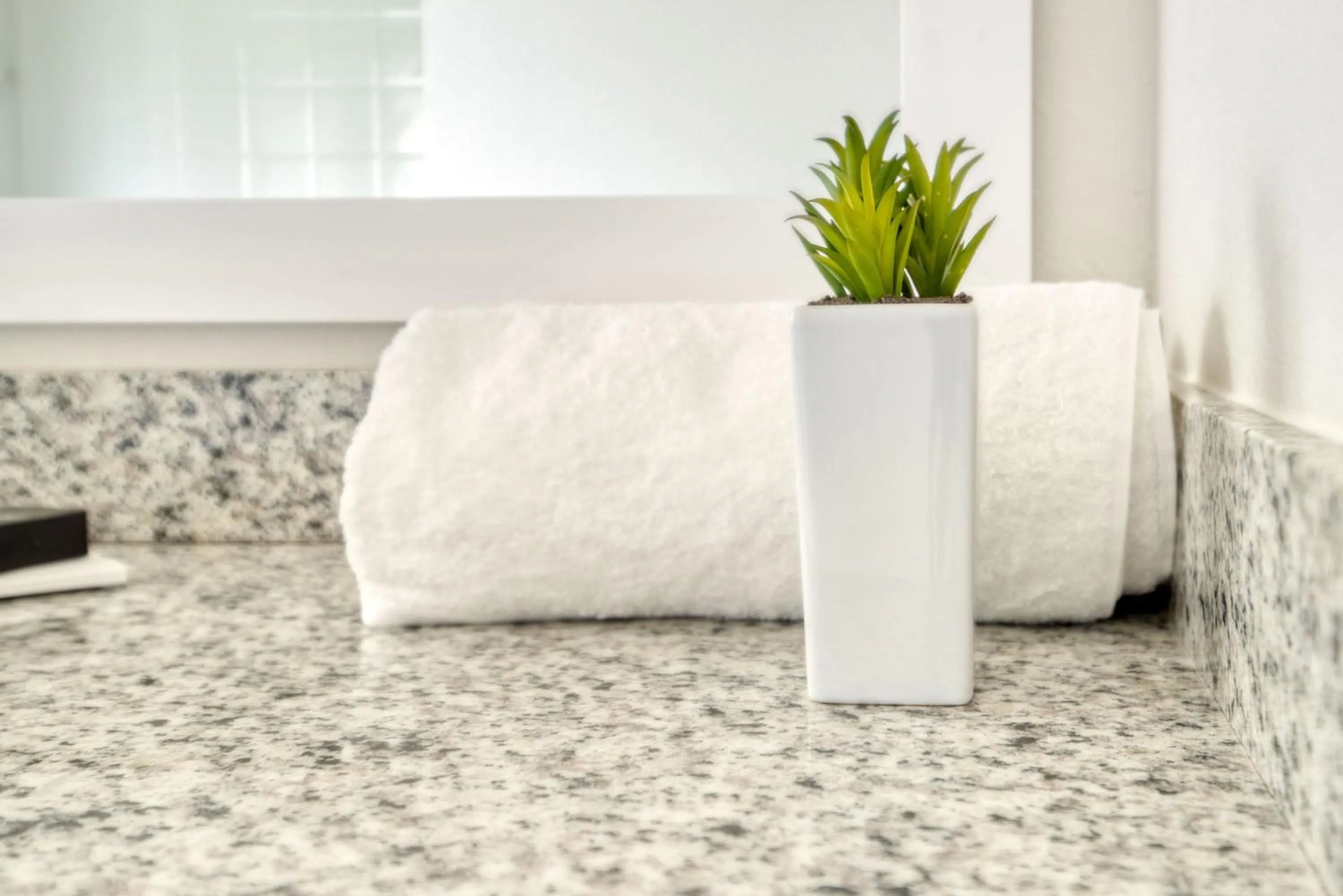 Deluxe One Bedroom Apartment