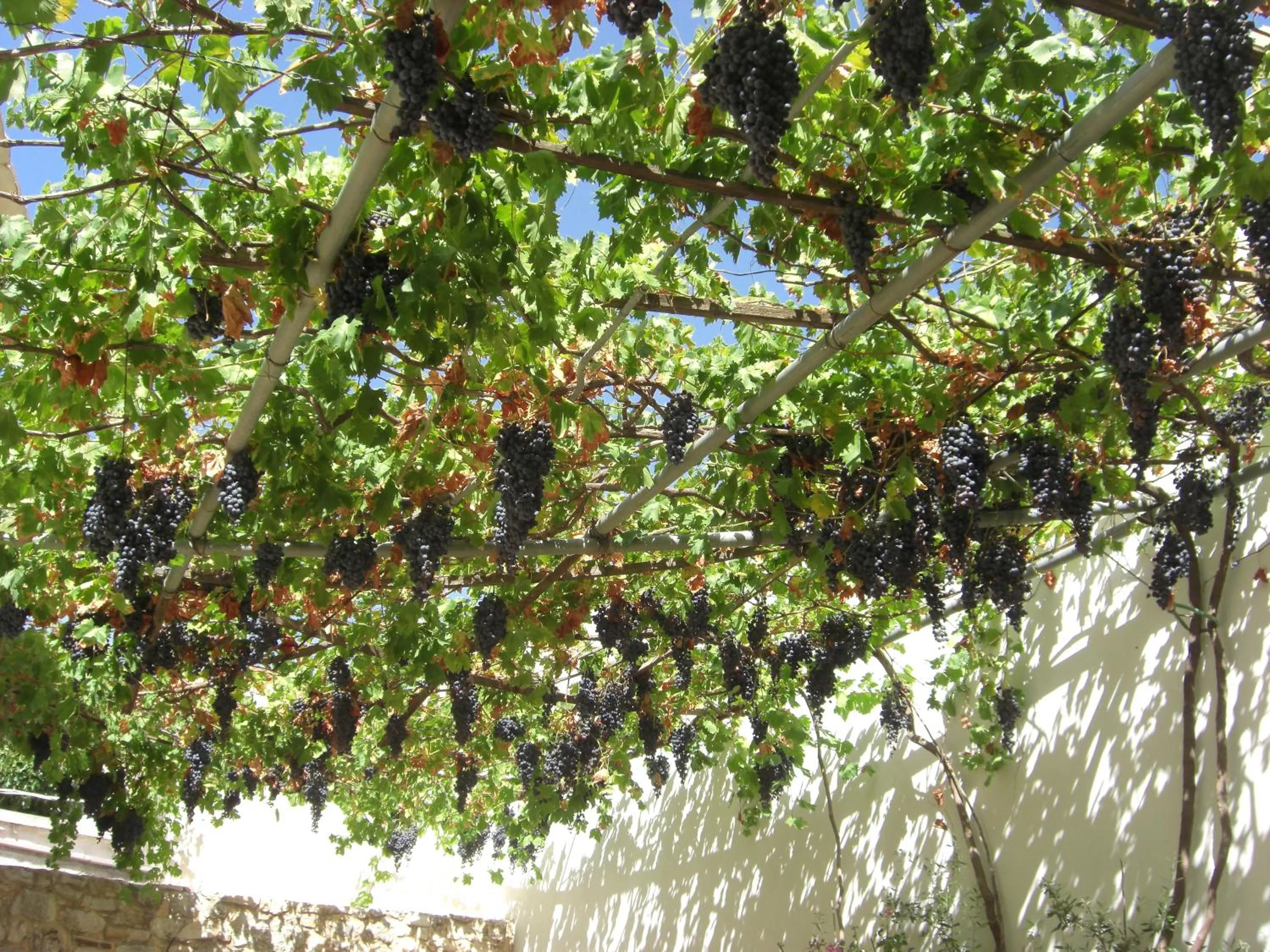Day in Patriko Traditional Stone Houses