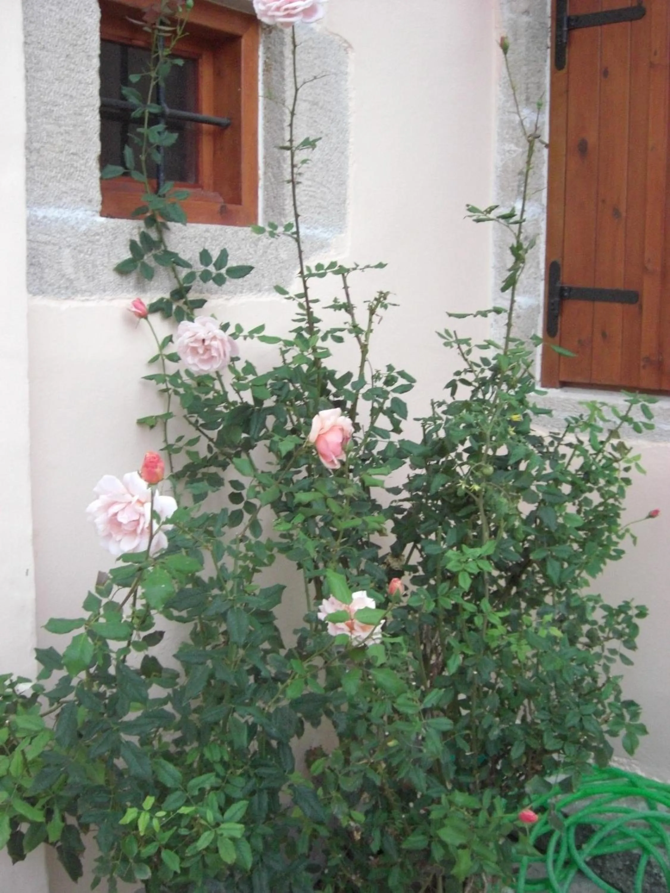 Spring in Patriko Traditional Stone Houses