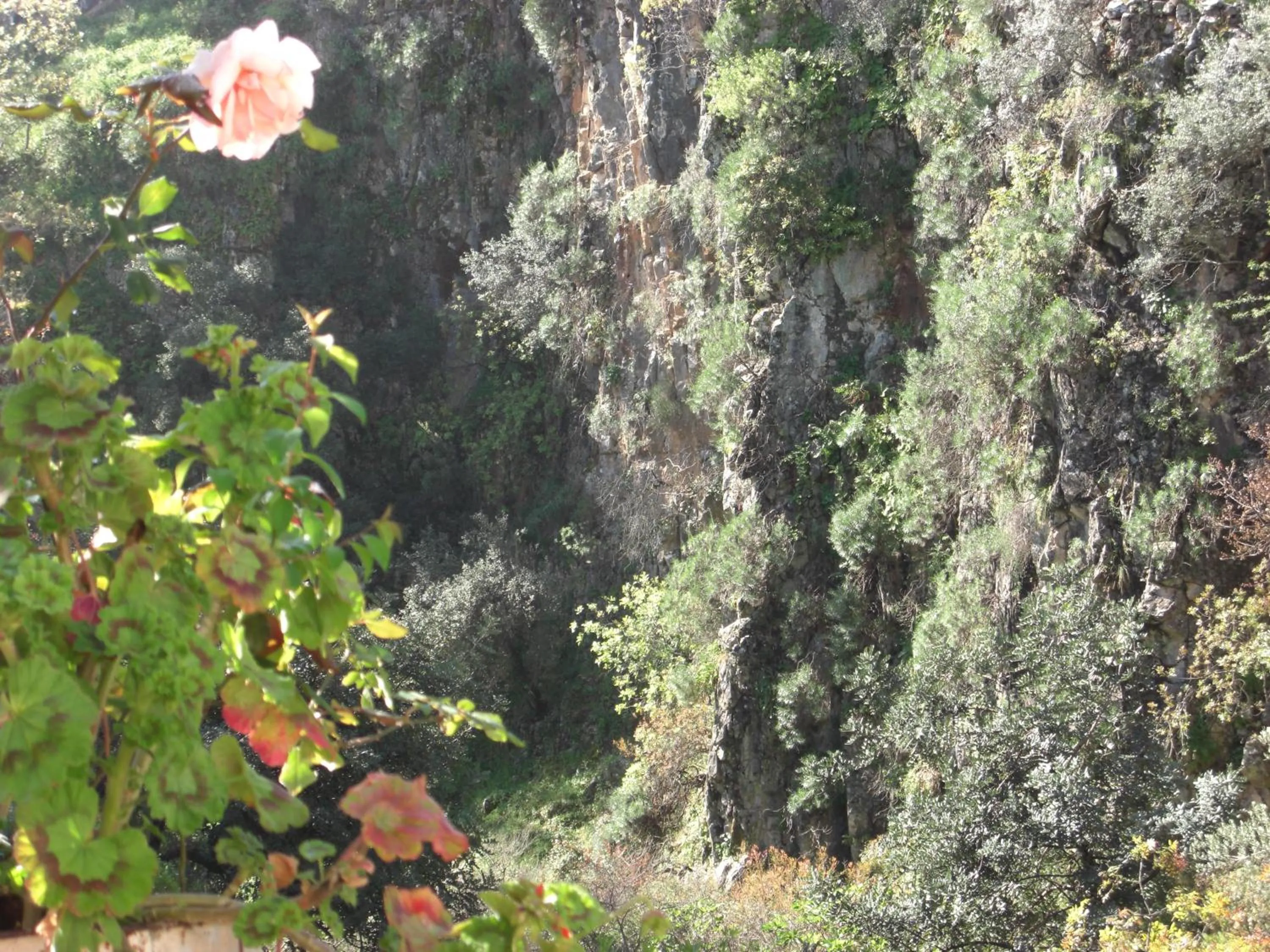 Spring in Patriko Traditional Stone Houses