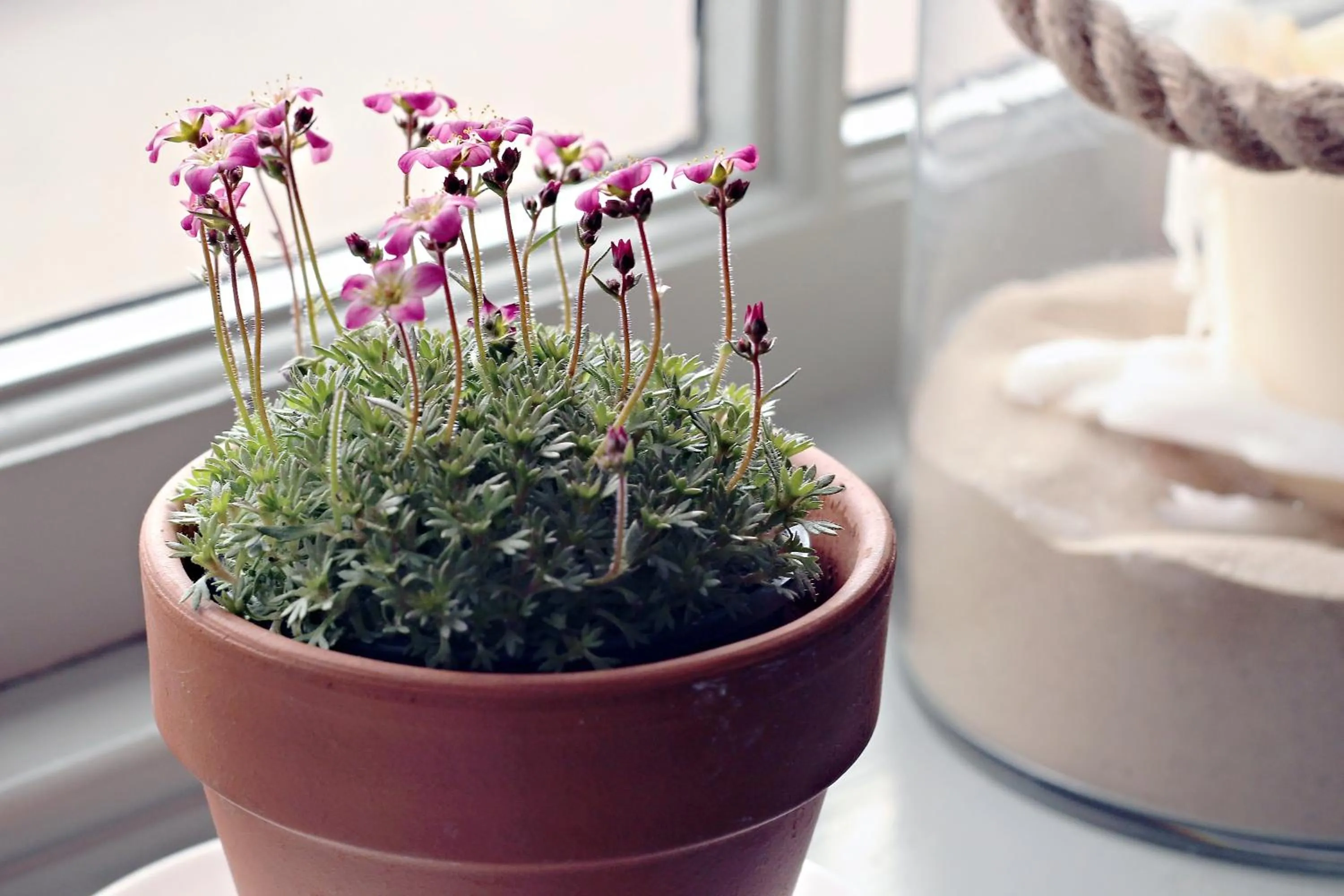 Other in The Boat Inn