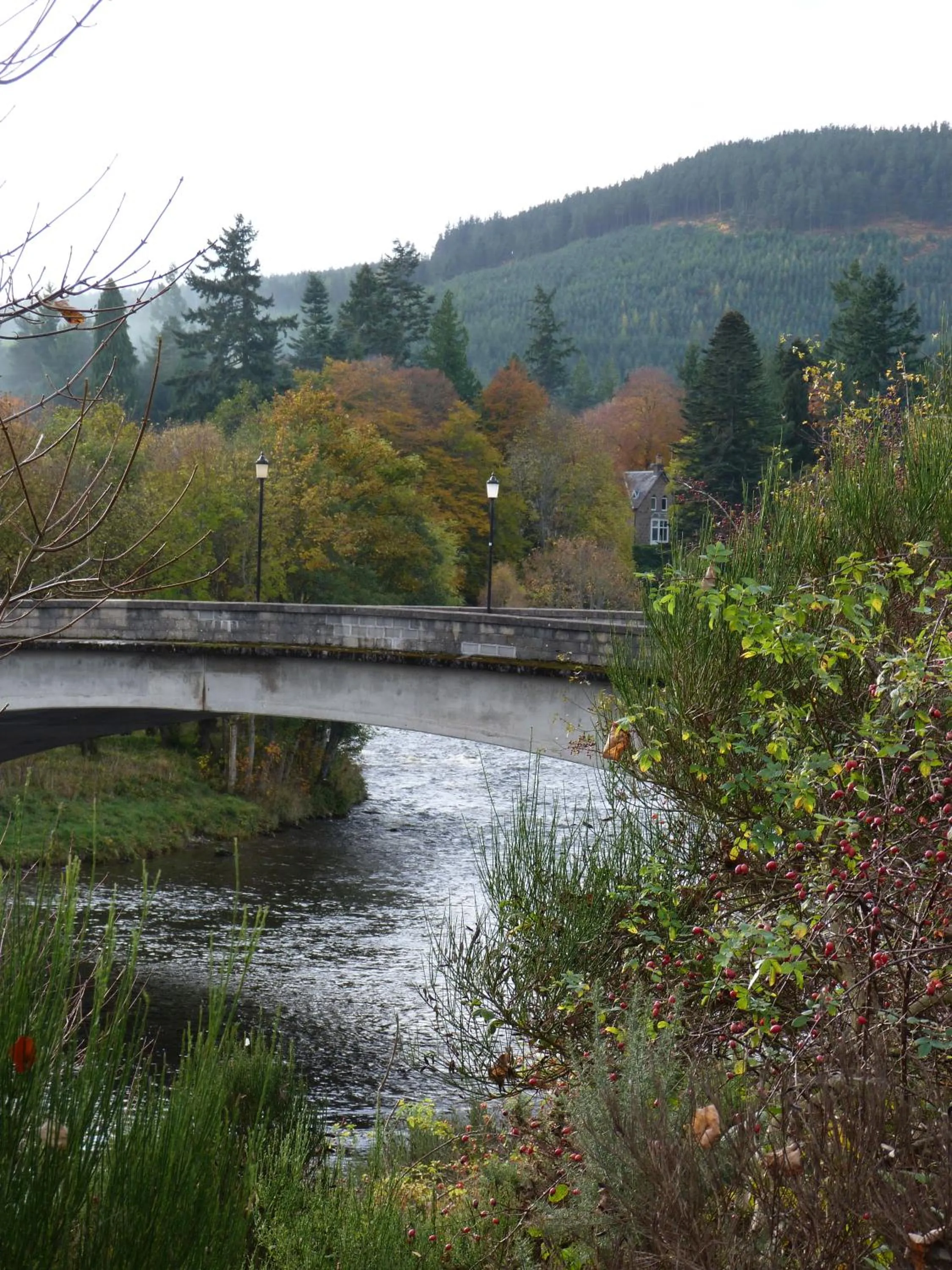 Autumn in The Boat Inn