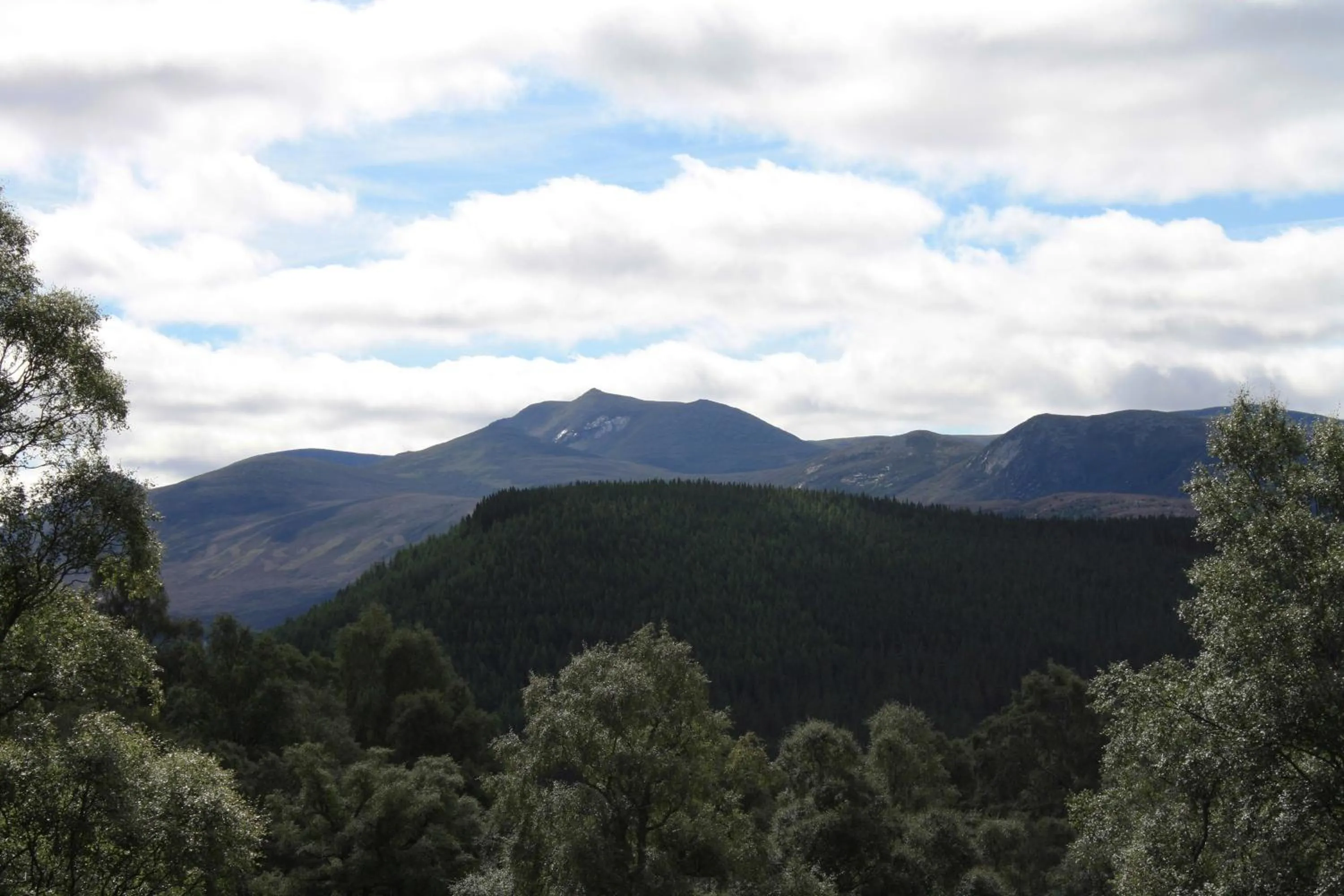 Natural landscape in The Boat Inn