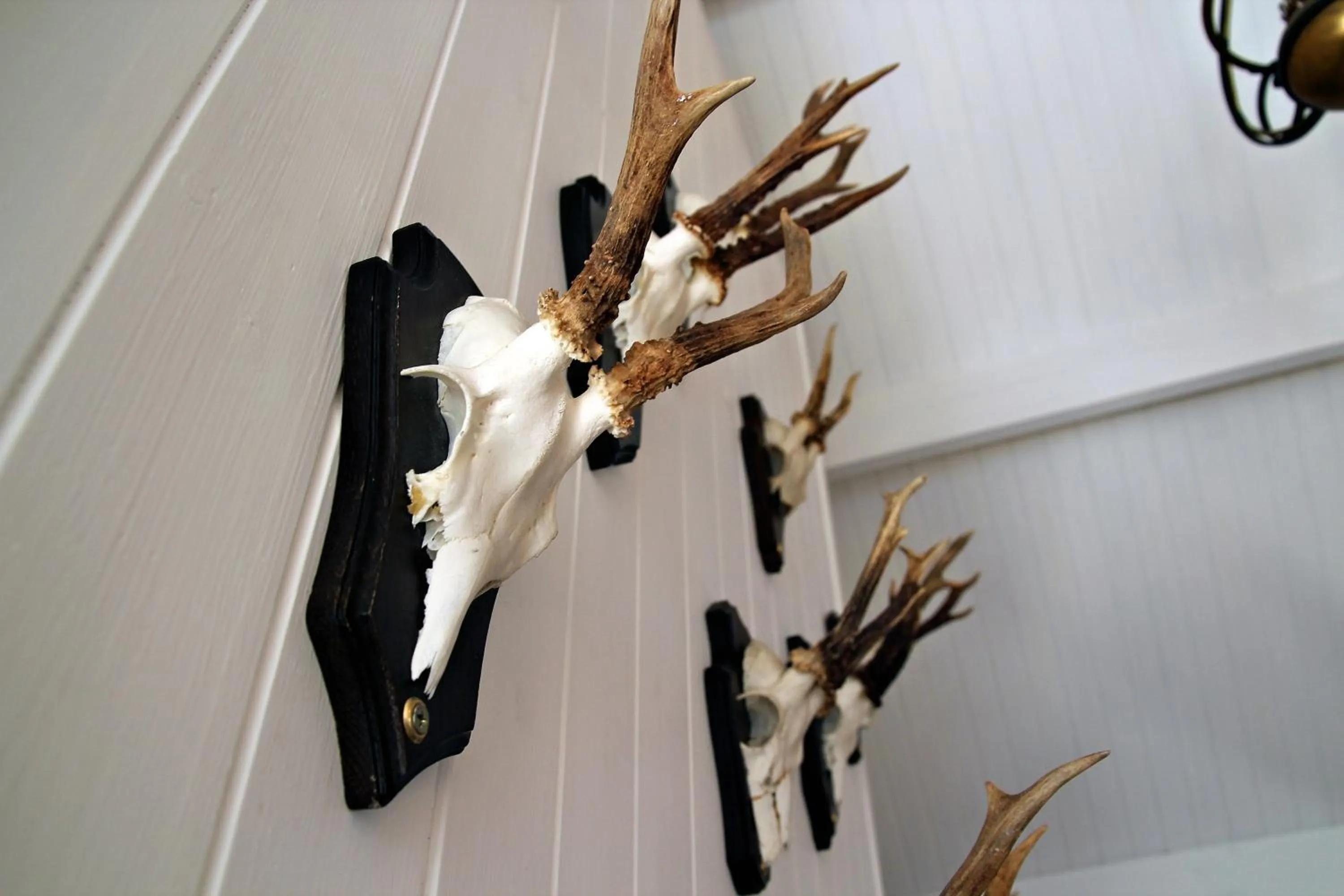 Decorative detail in The Boat Inn