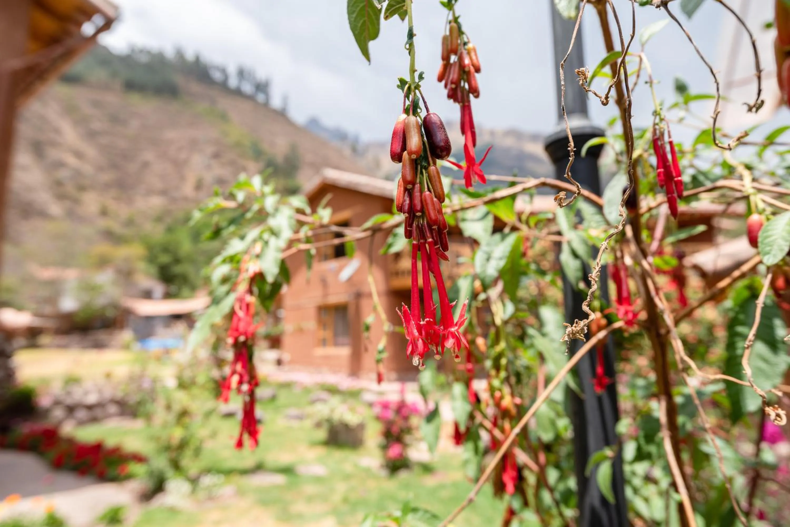 View (from property/room) in Unuwasi Hotel & Villa