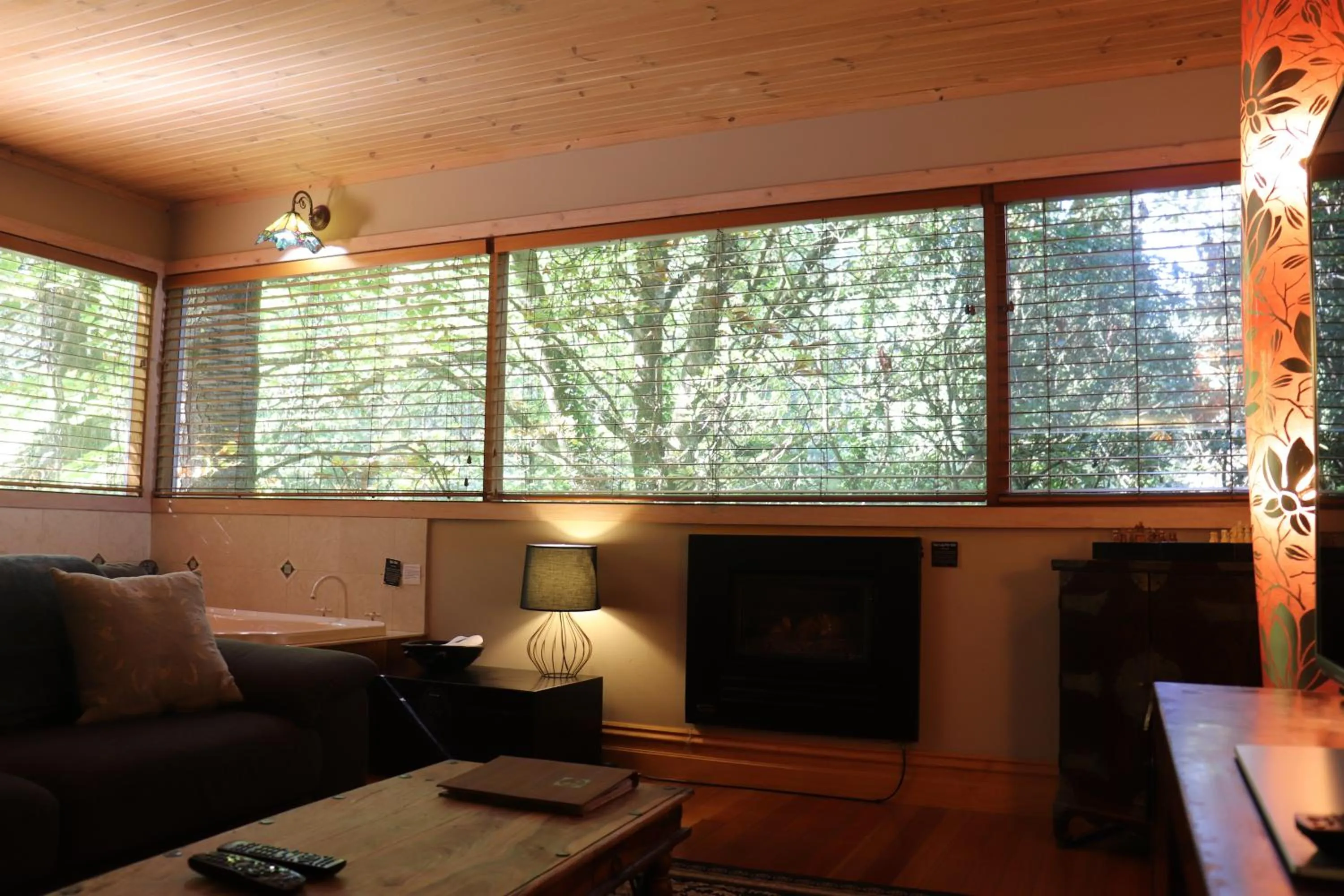 TV and multimedia in Linden Gardens Rainforest Retreat