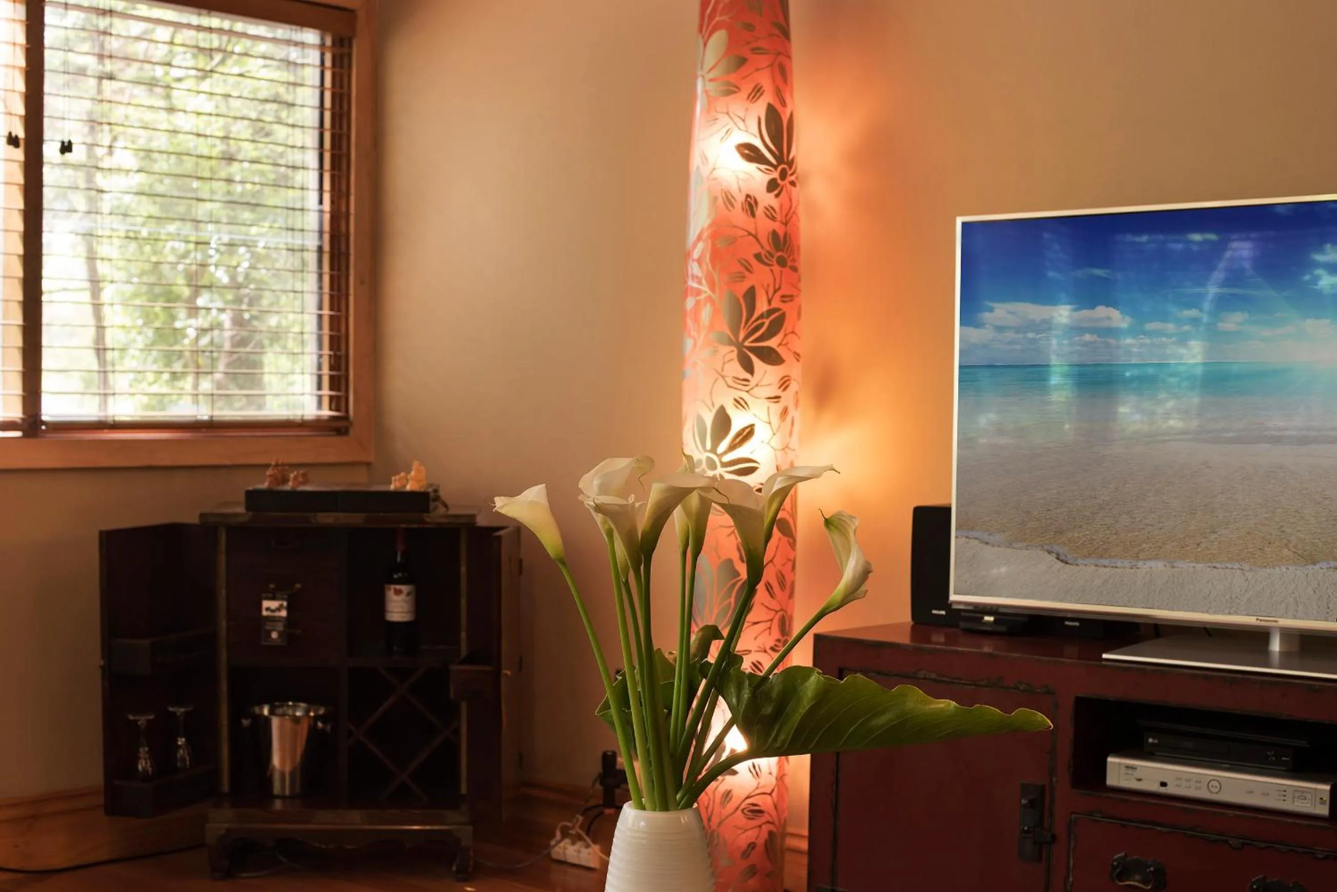 TV and multimedia in Linden Gardens Rainforest Retreat