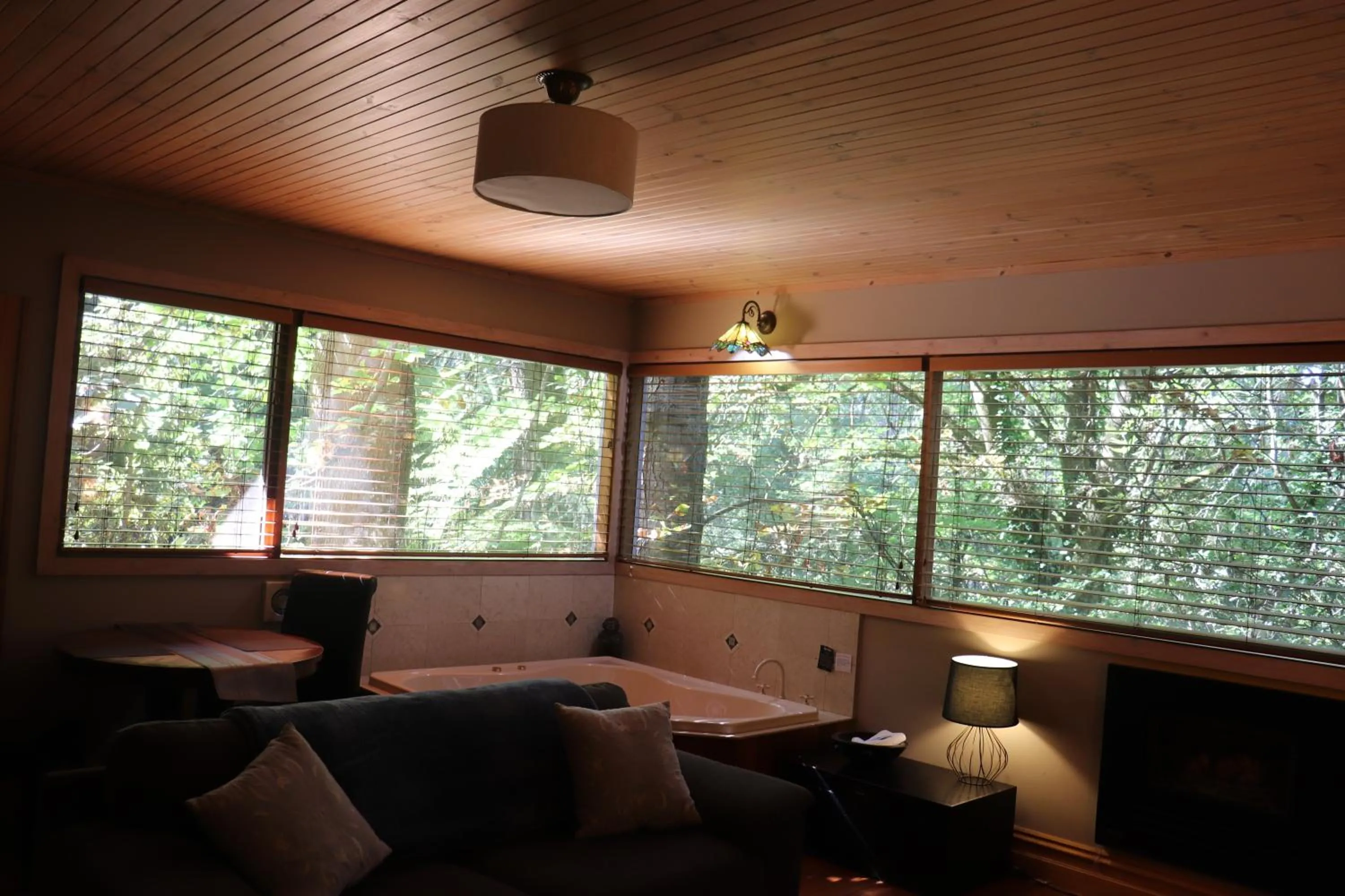 TV and multimedia in Linden Gardens Rainforest Retreat