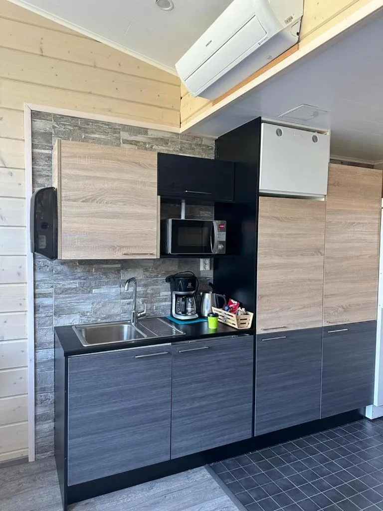 Northern Lights Village Pyhä