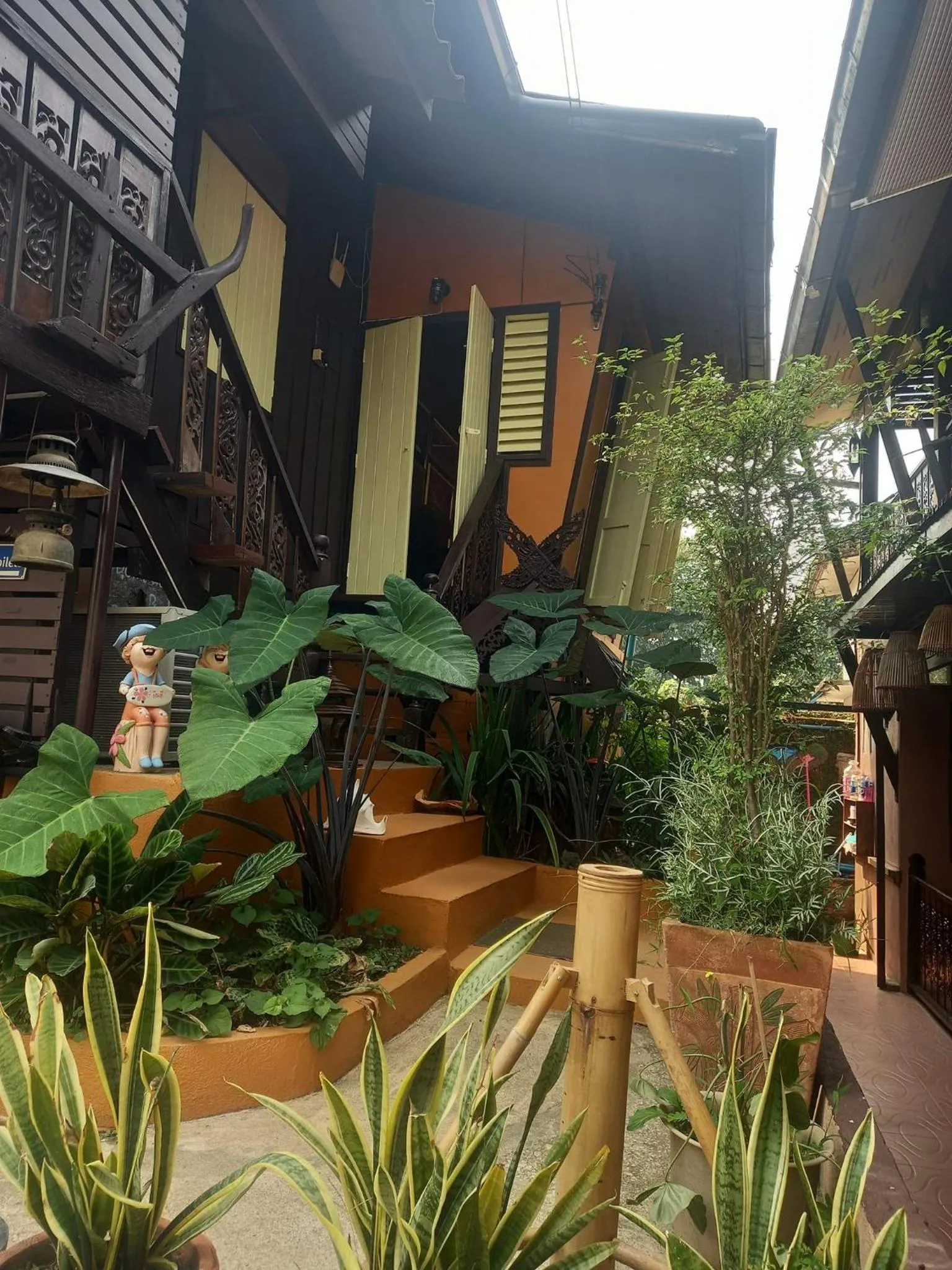 Garden view in Baanfai Guesthouse Chiangkhong