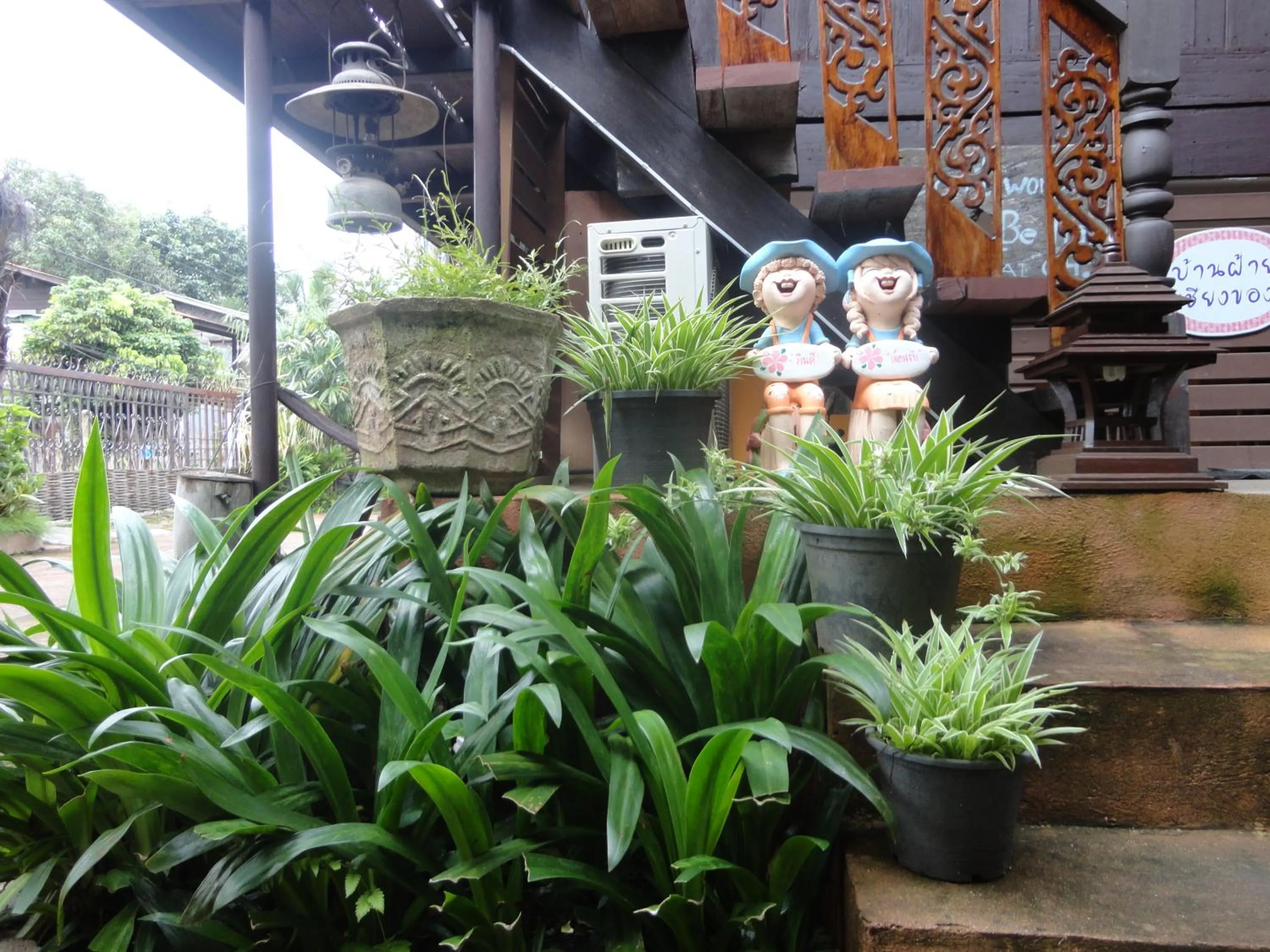 Garden view in Baanfai Guesthouse Chiangkhong