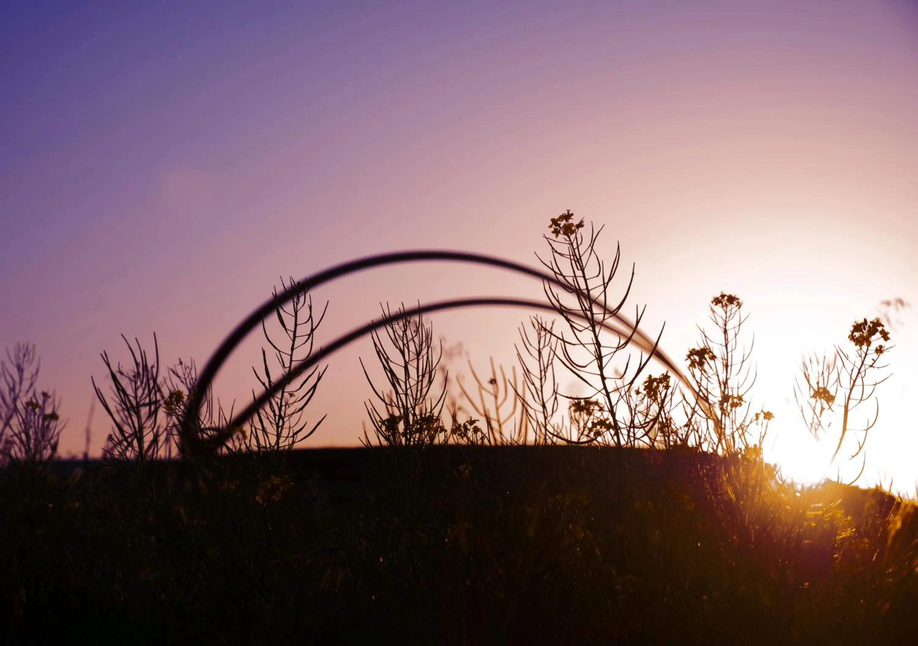 View (from property/room) in Stanly Ranch, Auberge Collection