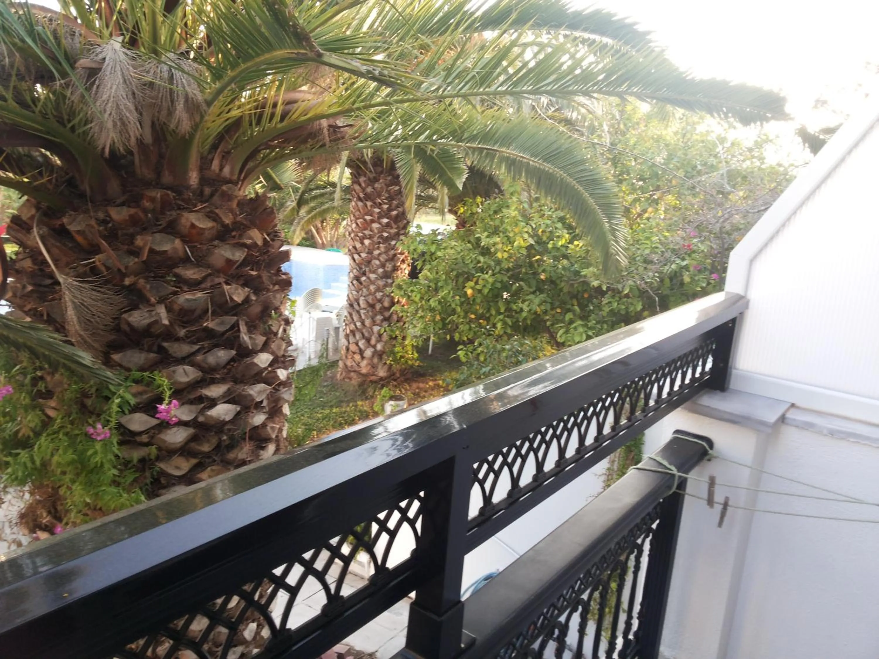 Garden view in Anna Studios